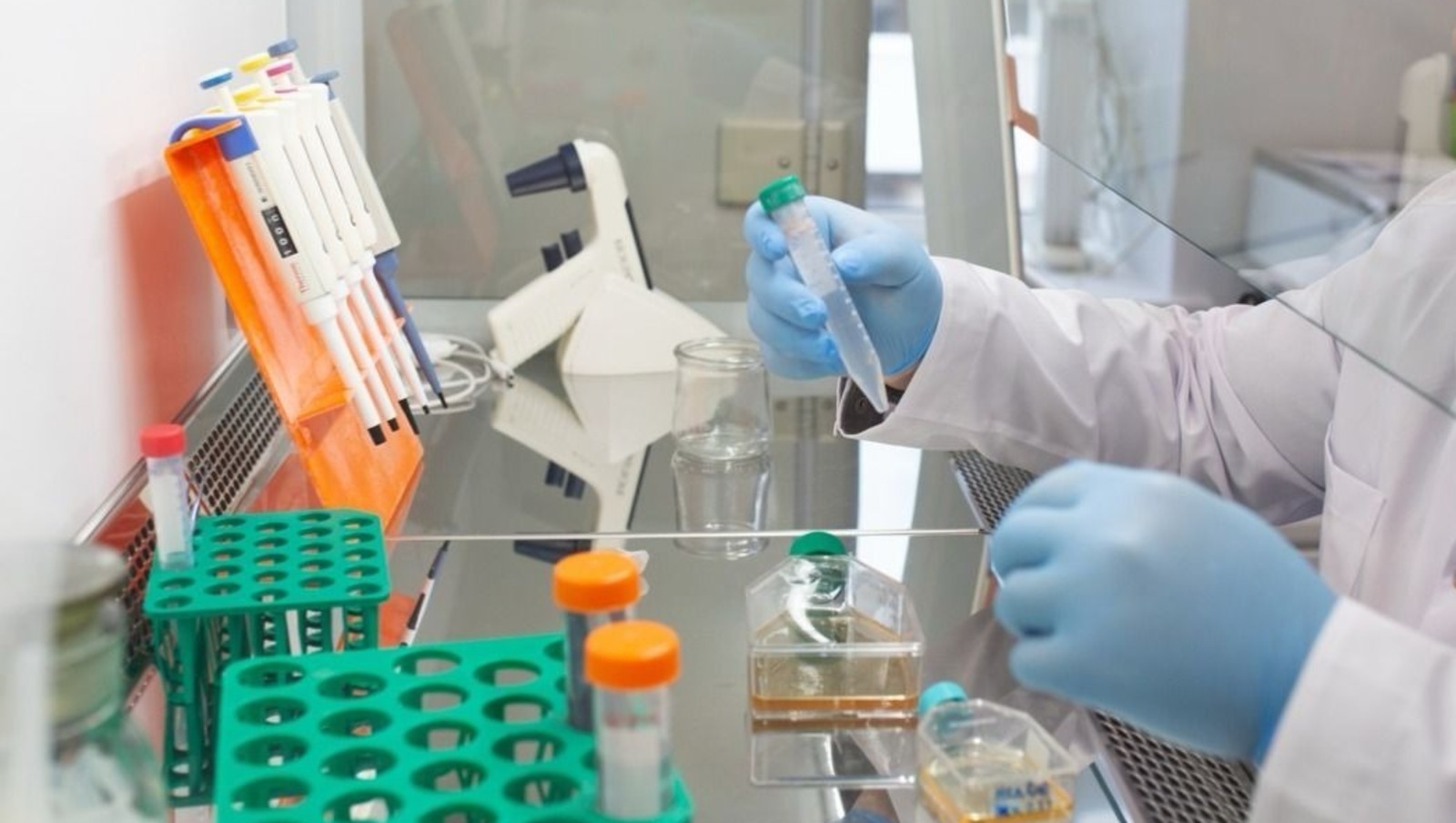 пресс-служба БГМУ