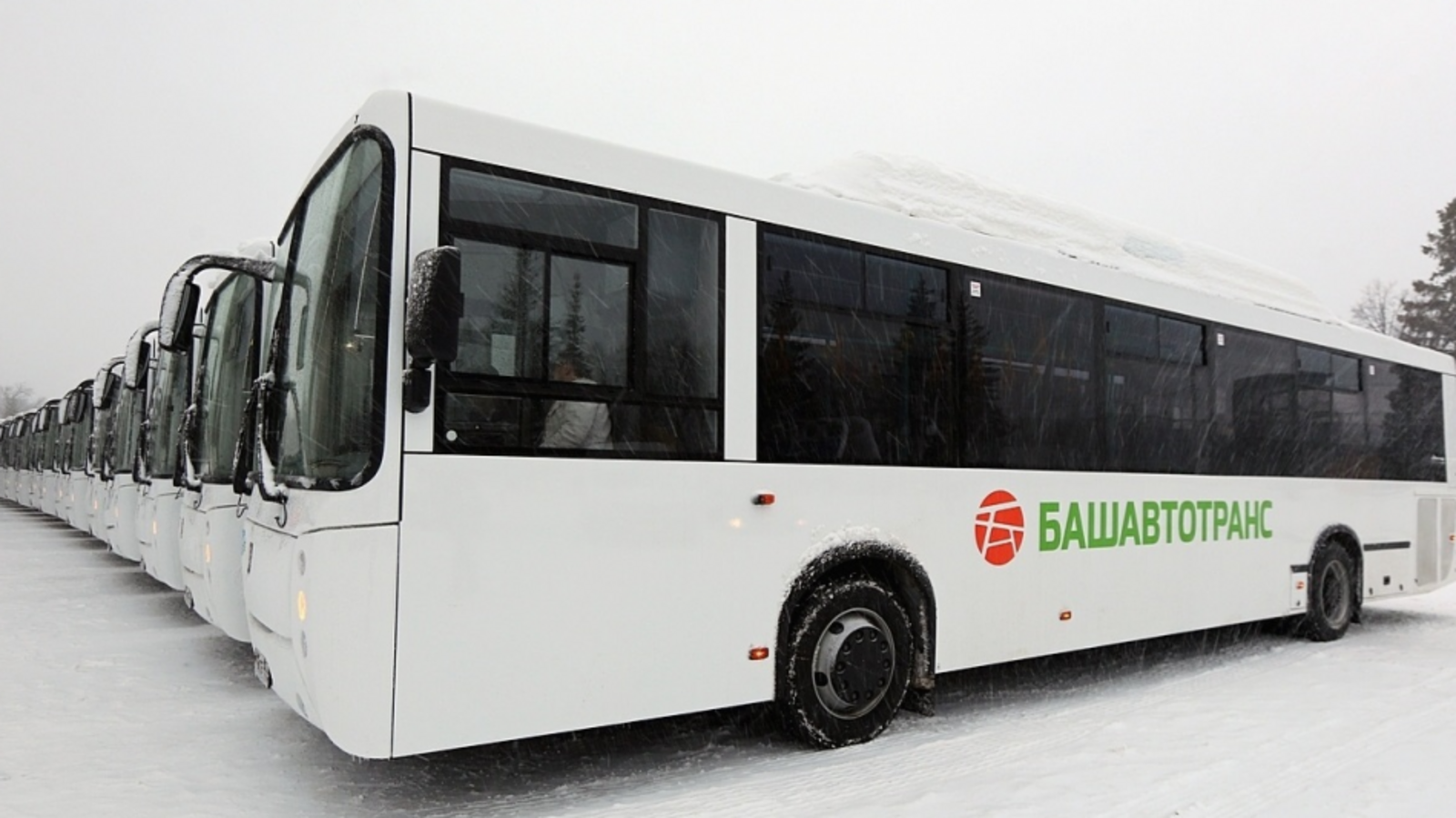 ИА «Башинформ»