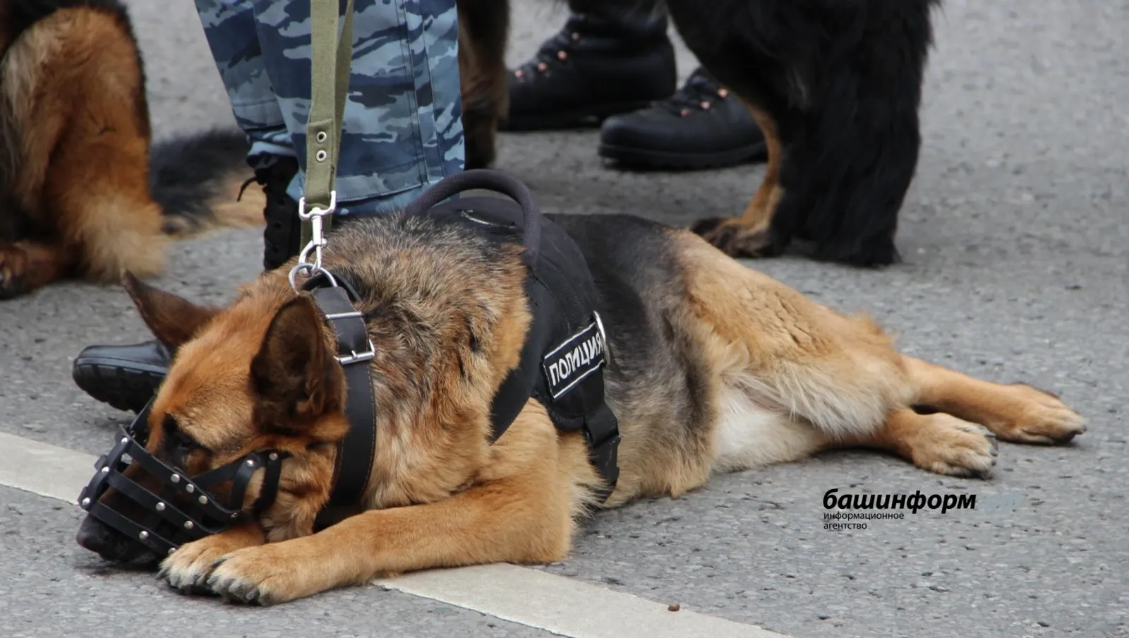 Ксения Калинина