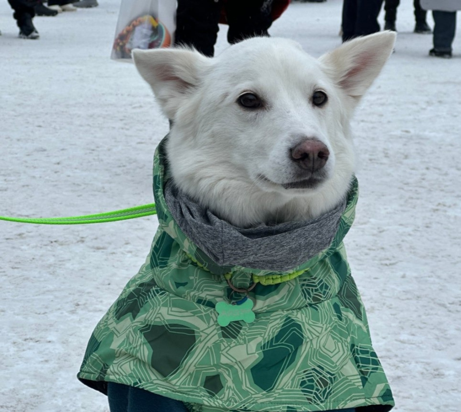 пресс-служба администрация Уфы