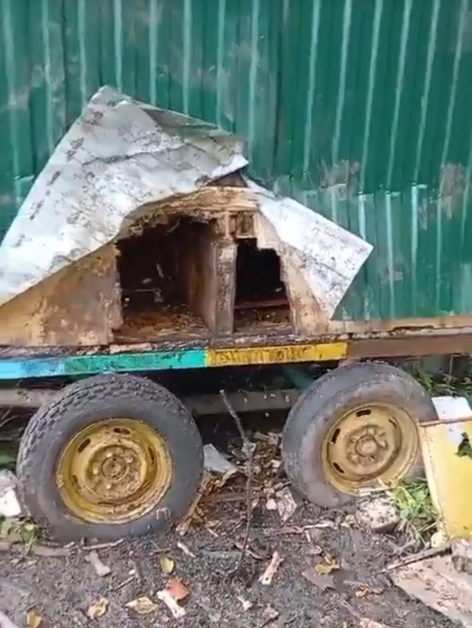 скриншот видео