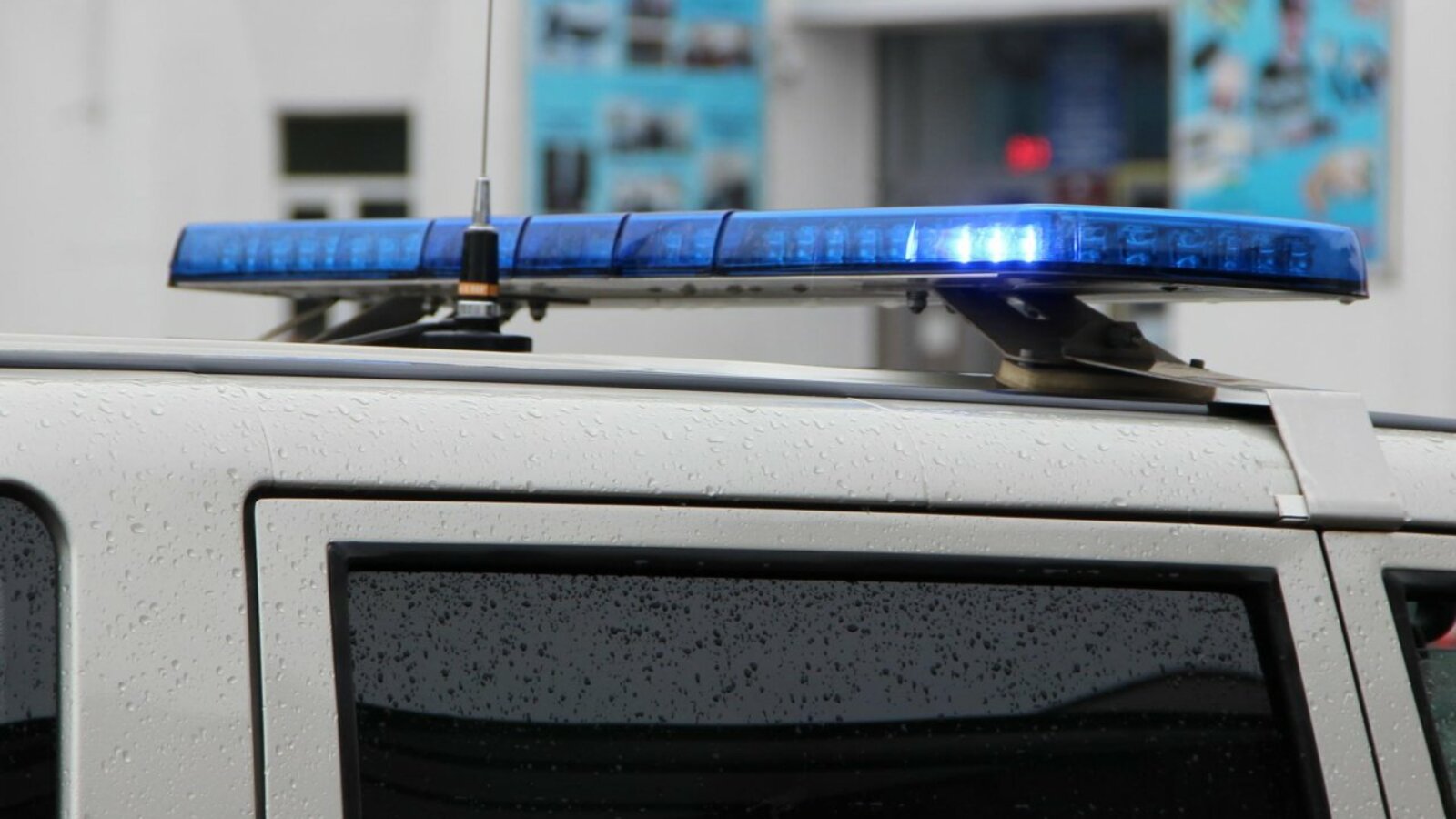 Ксения Калинина