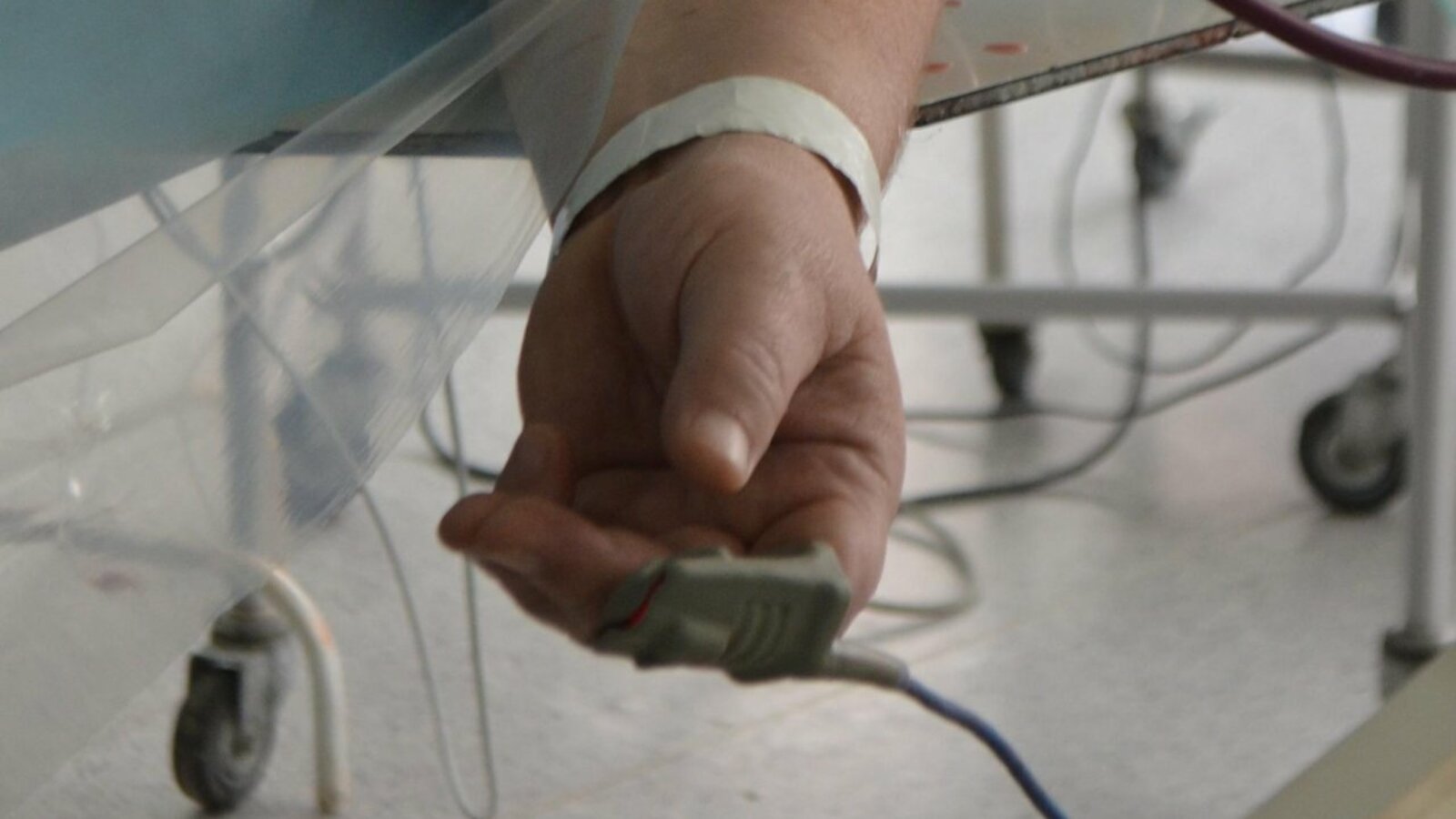 Ксения Калинина