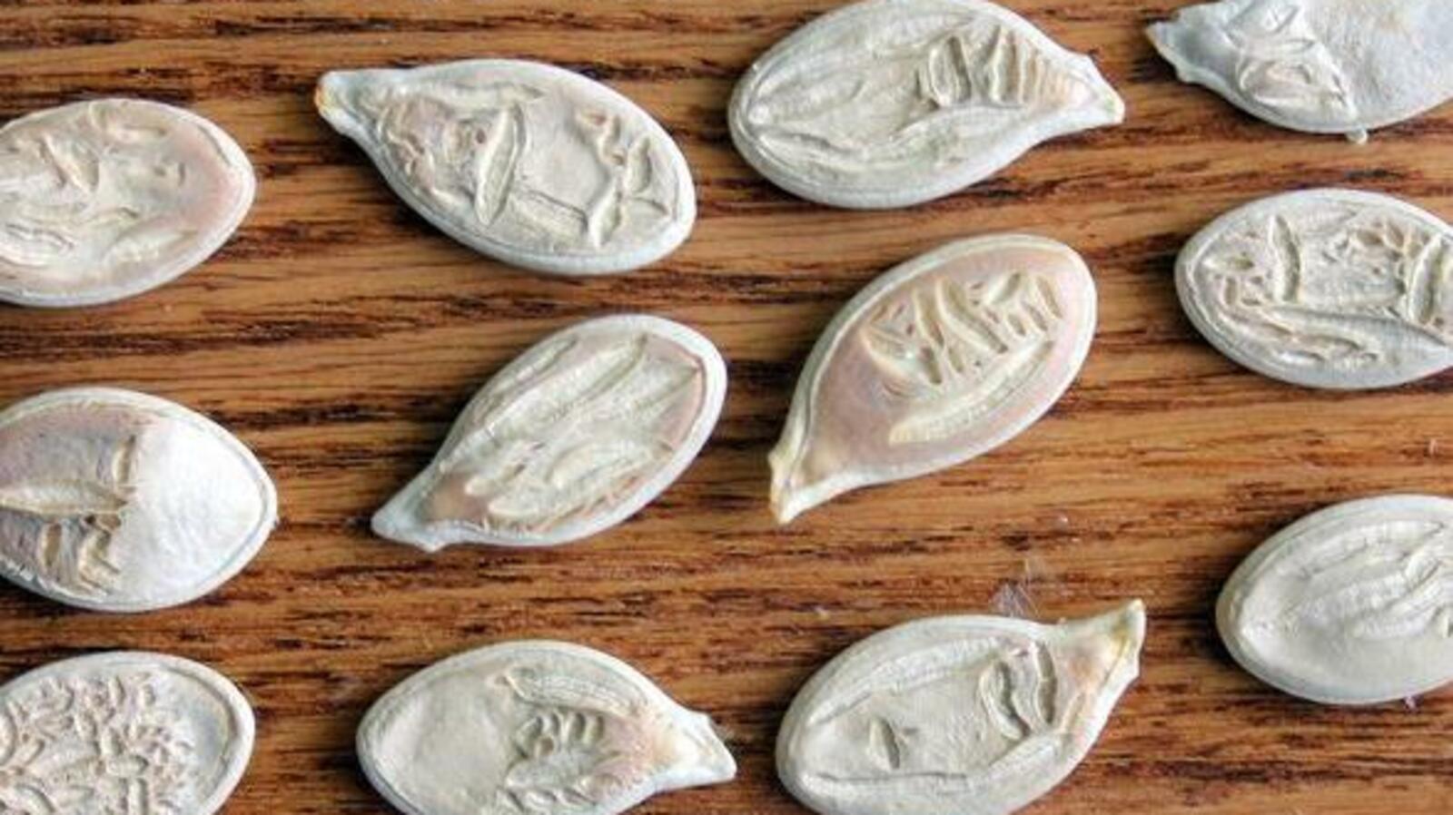 газета «Аургазинский вестник»