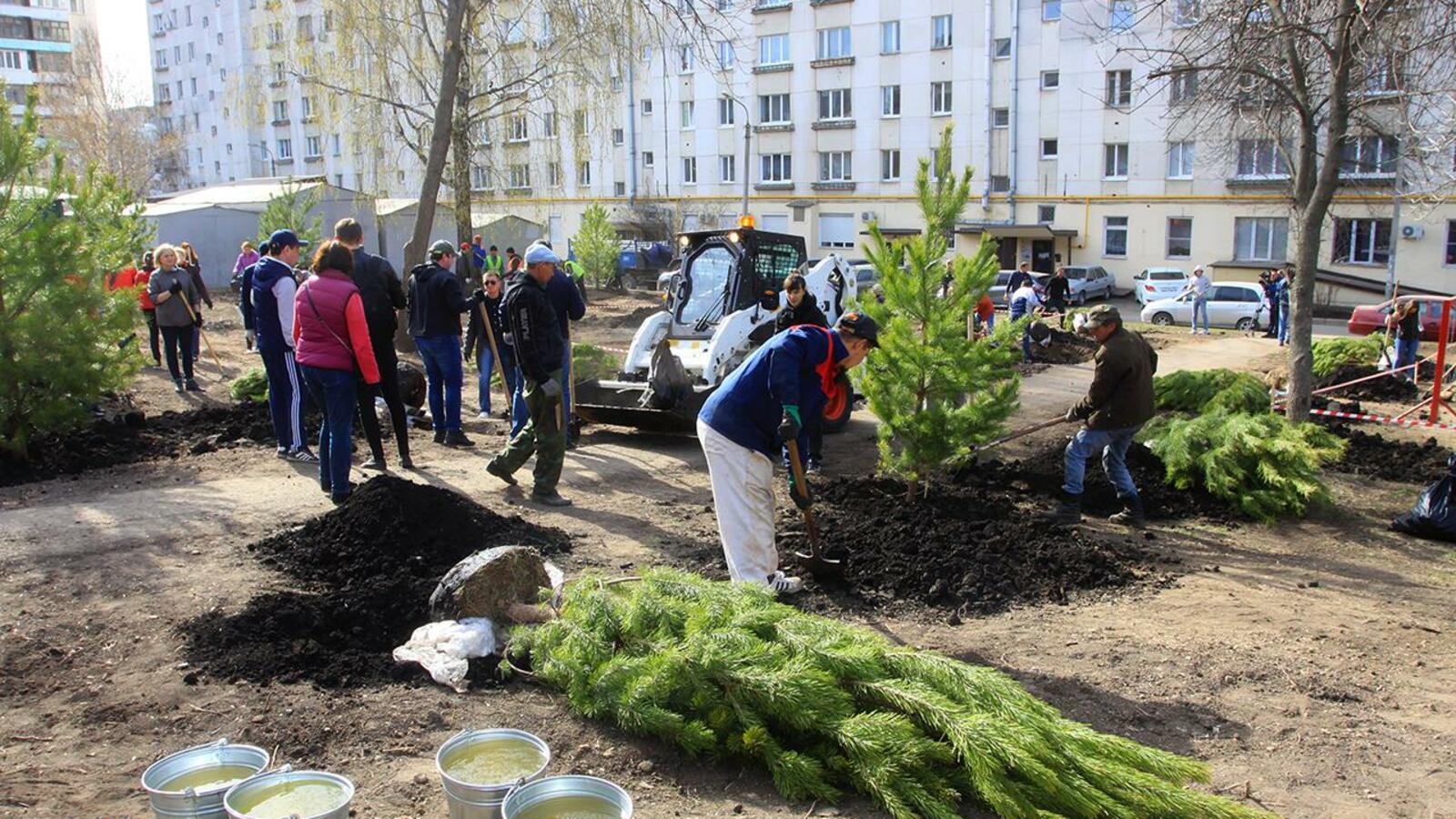 Валерий Шахов