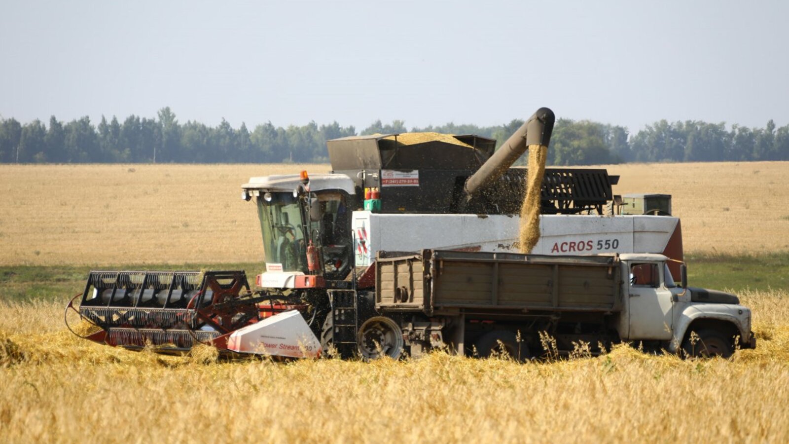 Валерий Шахов