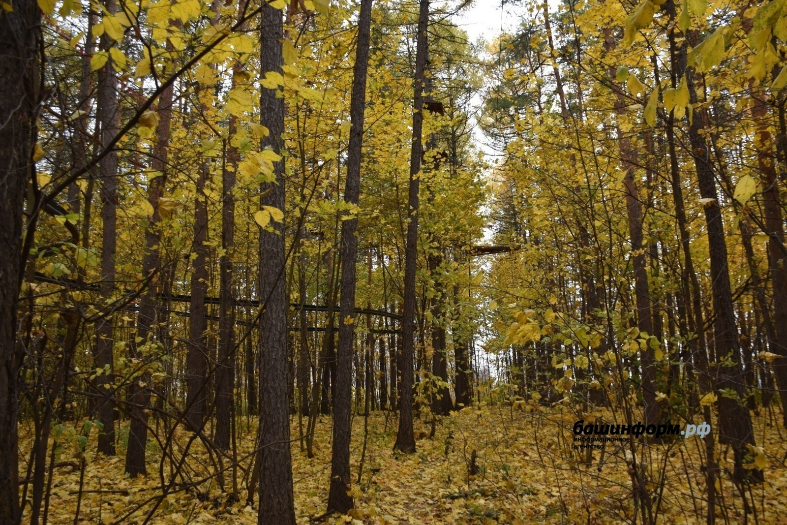 Эдуард Кускарбеков