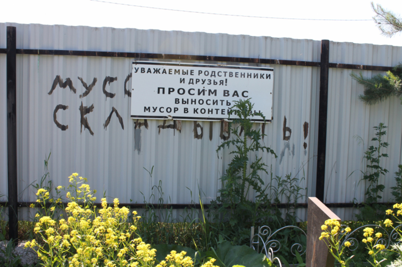 Народный фронт в Башкирии предложил почистить сельское кладбище