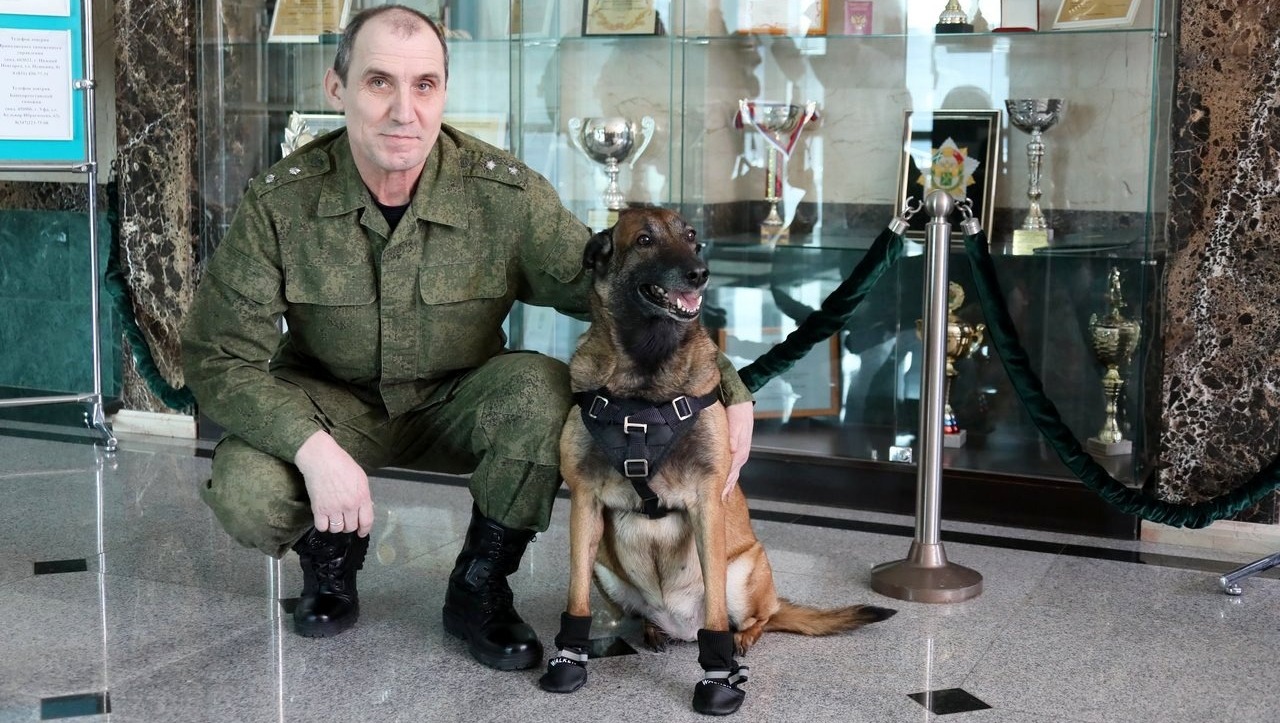 Валерий Шахов