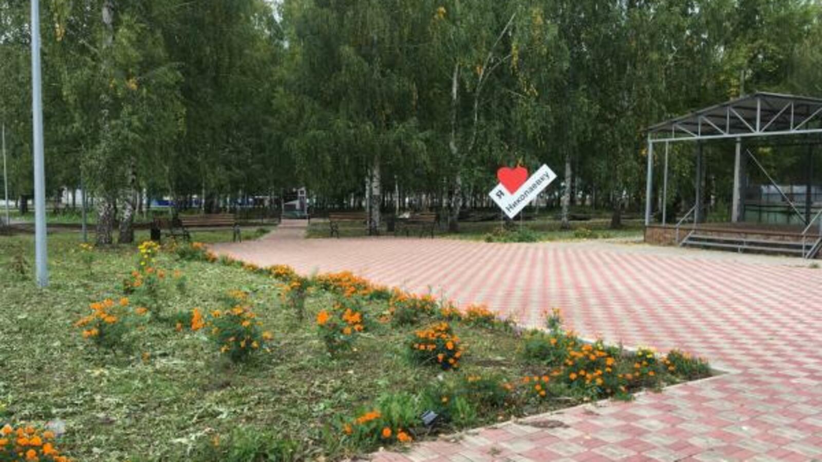 пресс-служба регионального отделения ОНФ