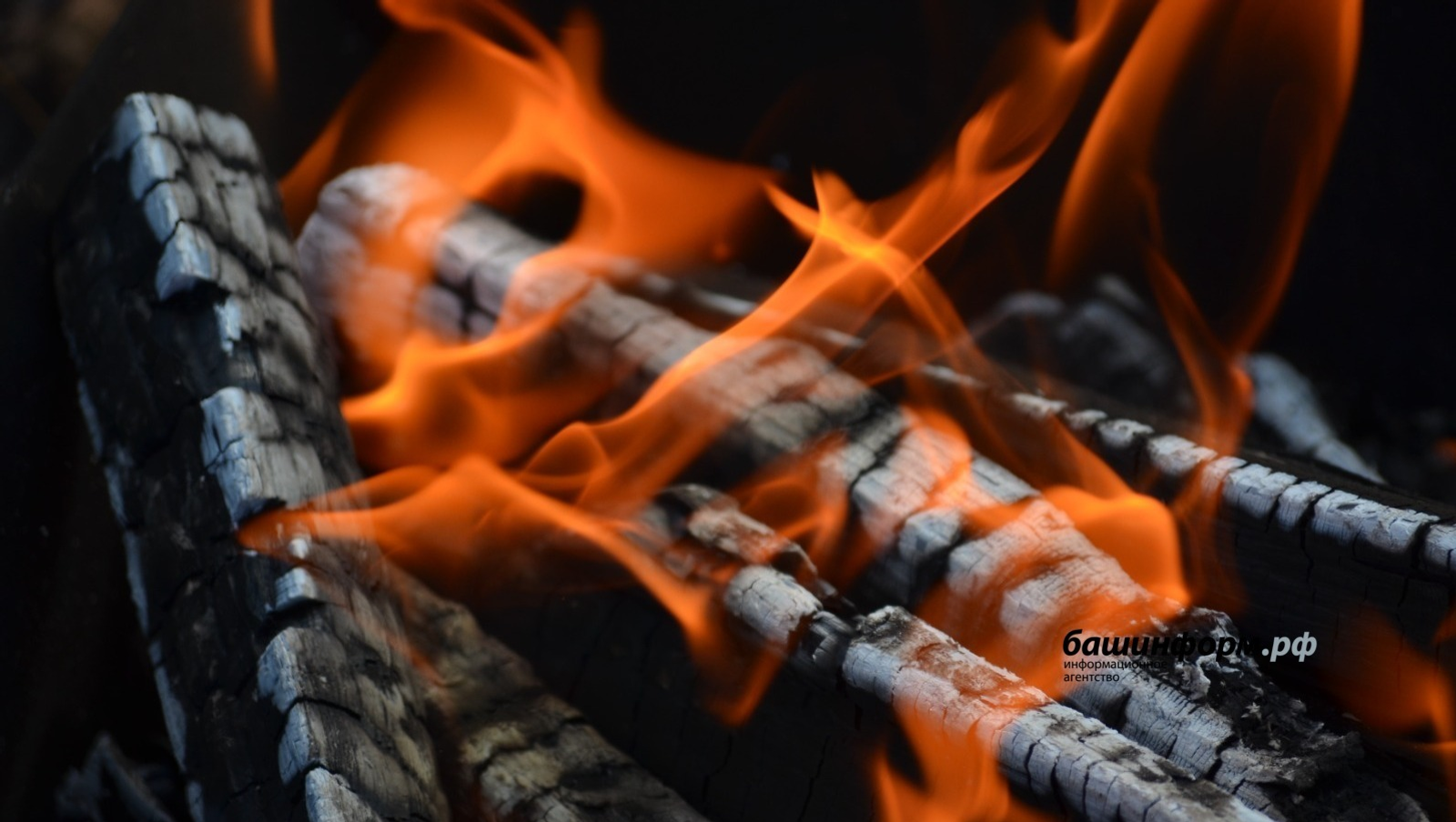 Ксения Калинина