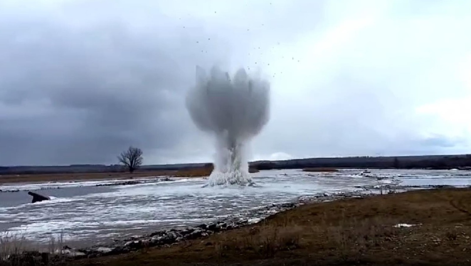 стоп-кадр видео