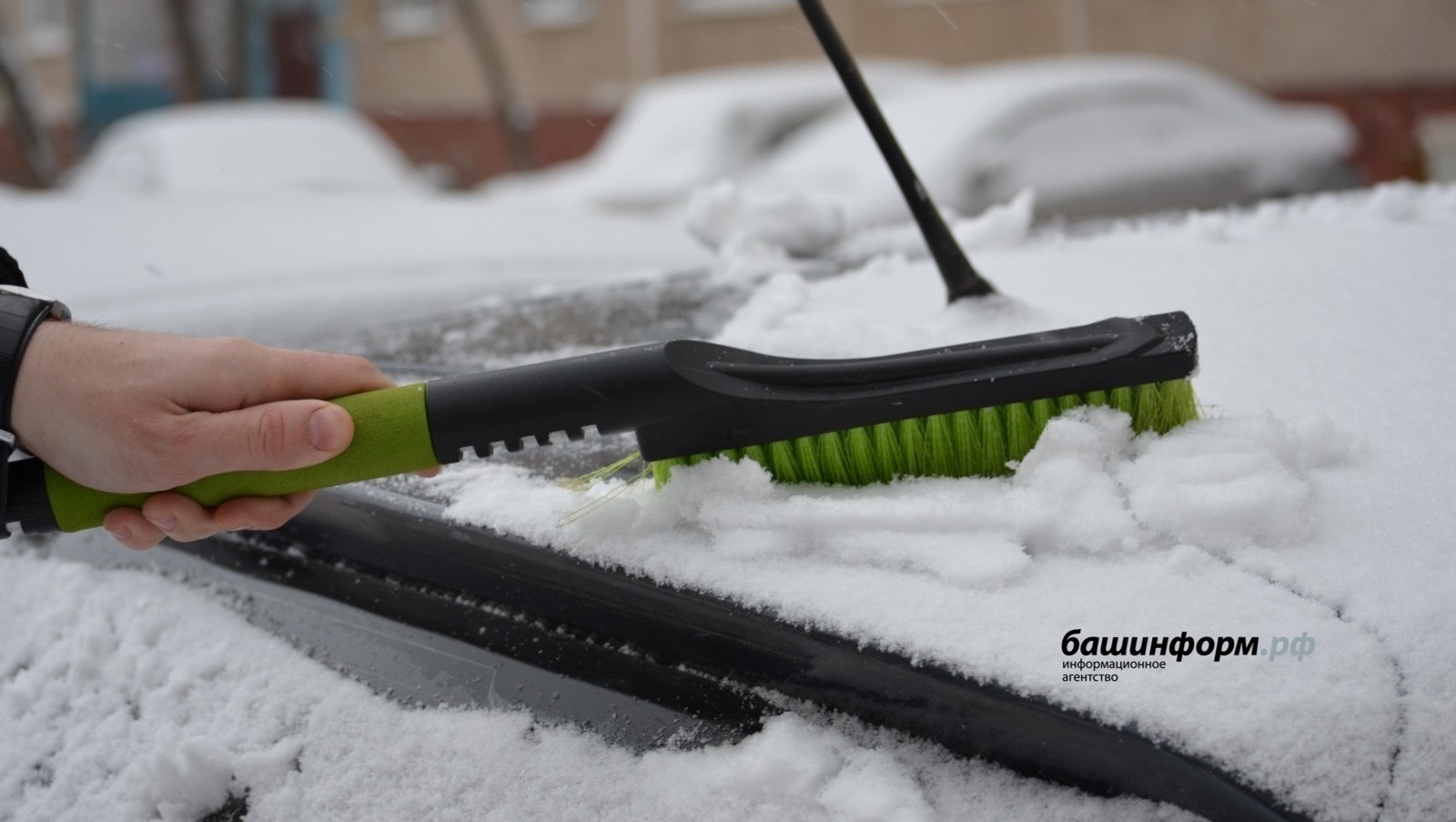 Ксения Калинина