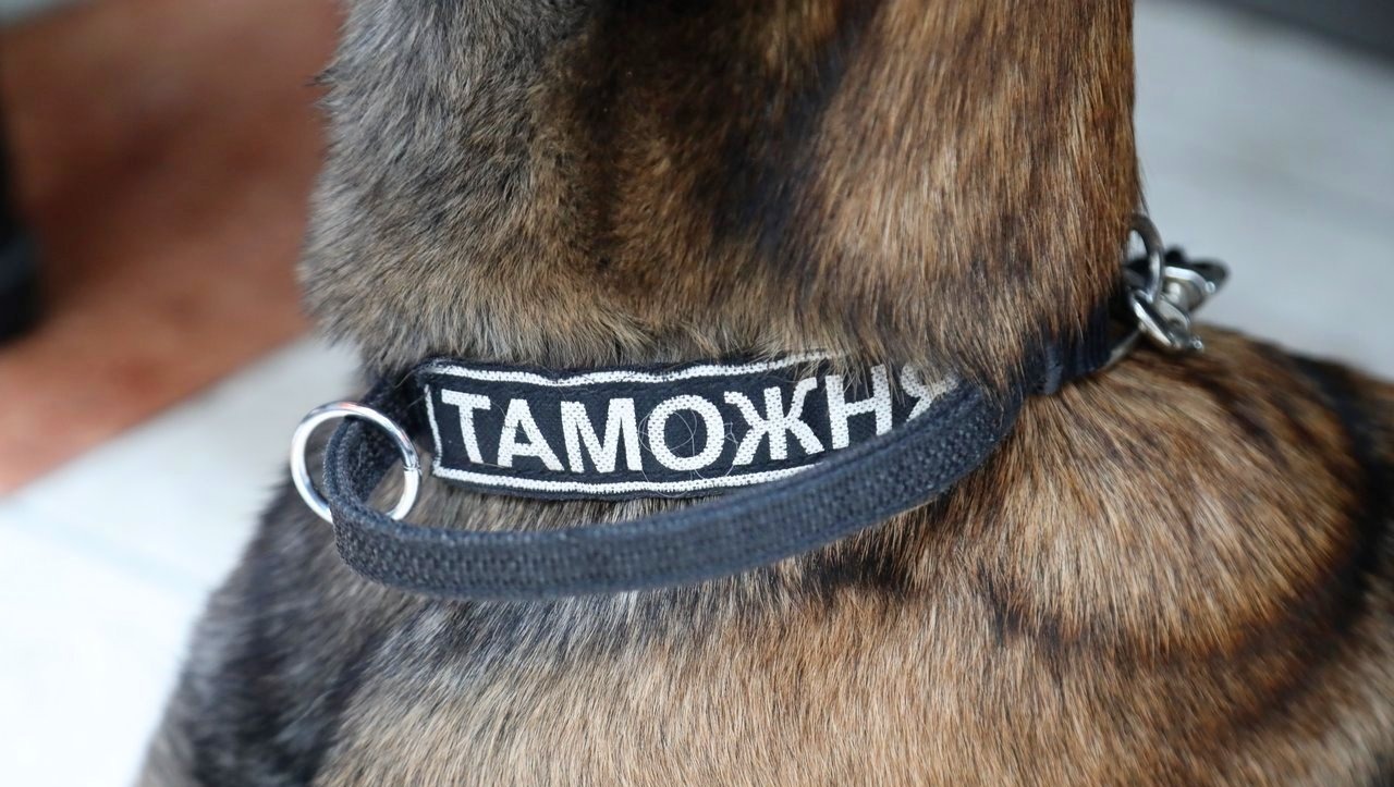 Валерий Шахов