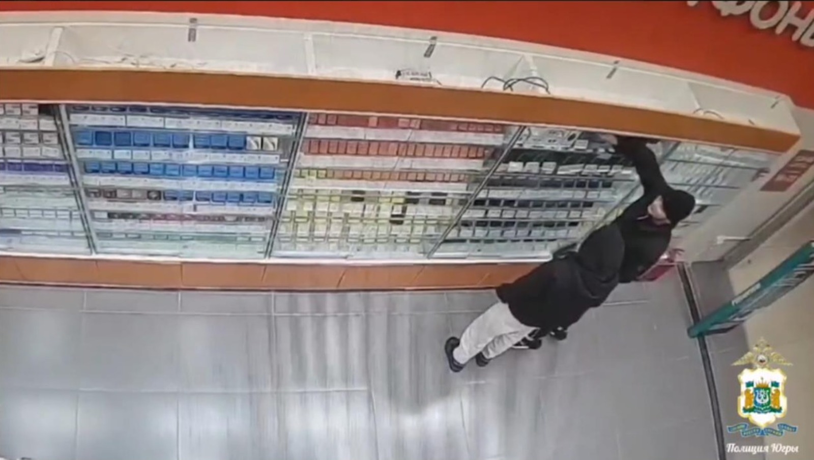 МВД Медиа  телеграм