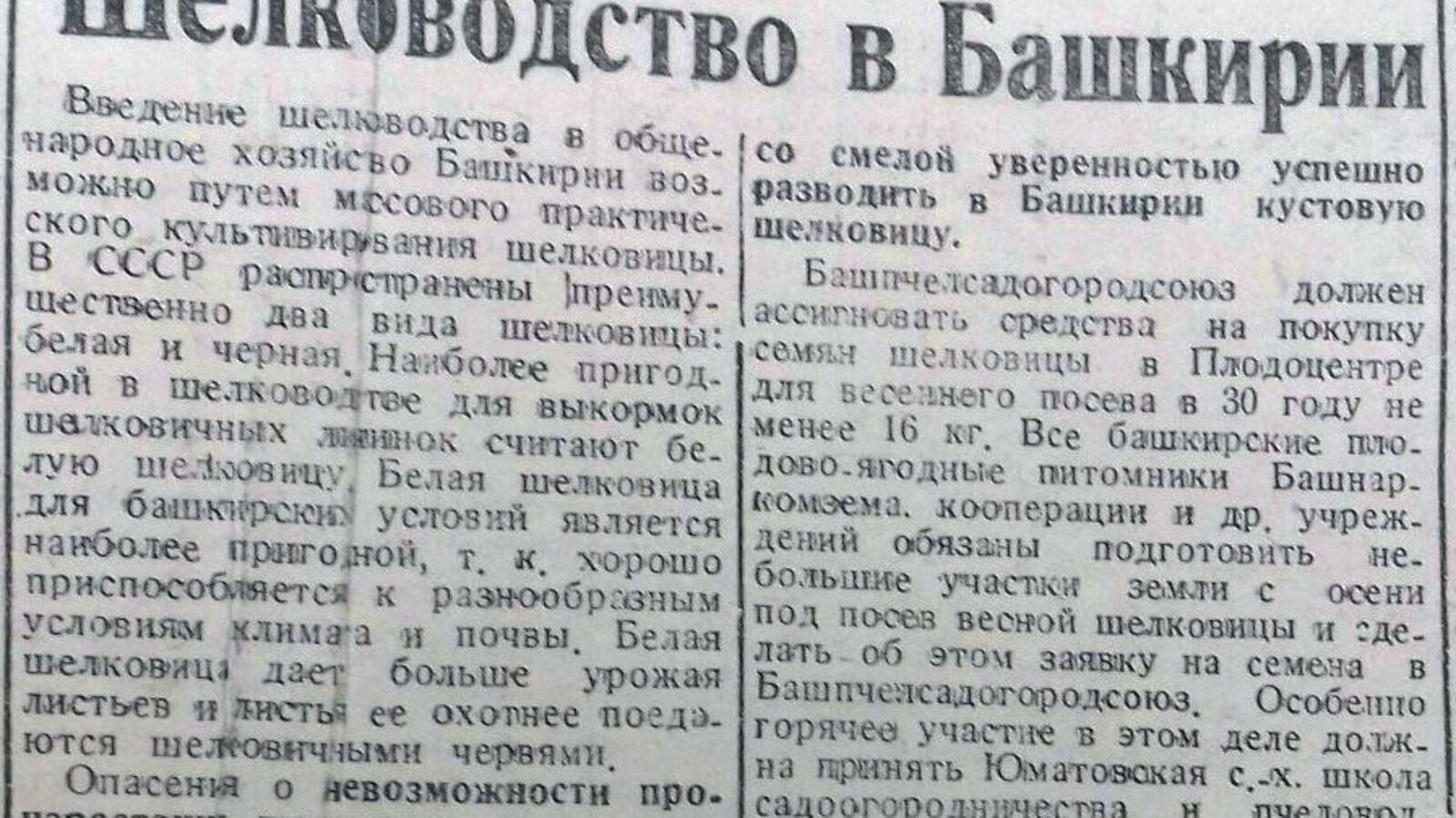 Книжная палата РБ