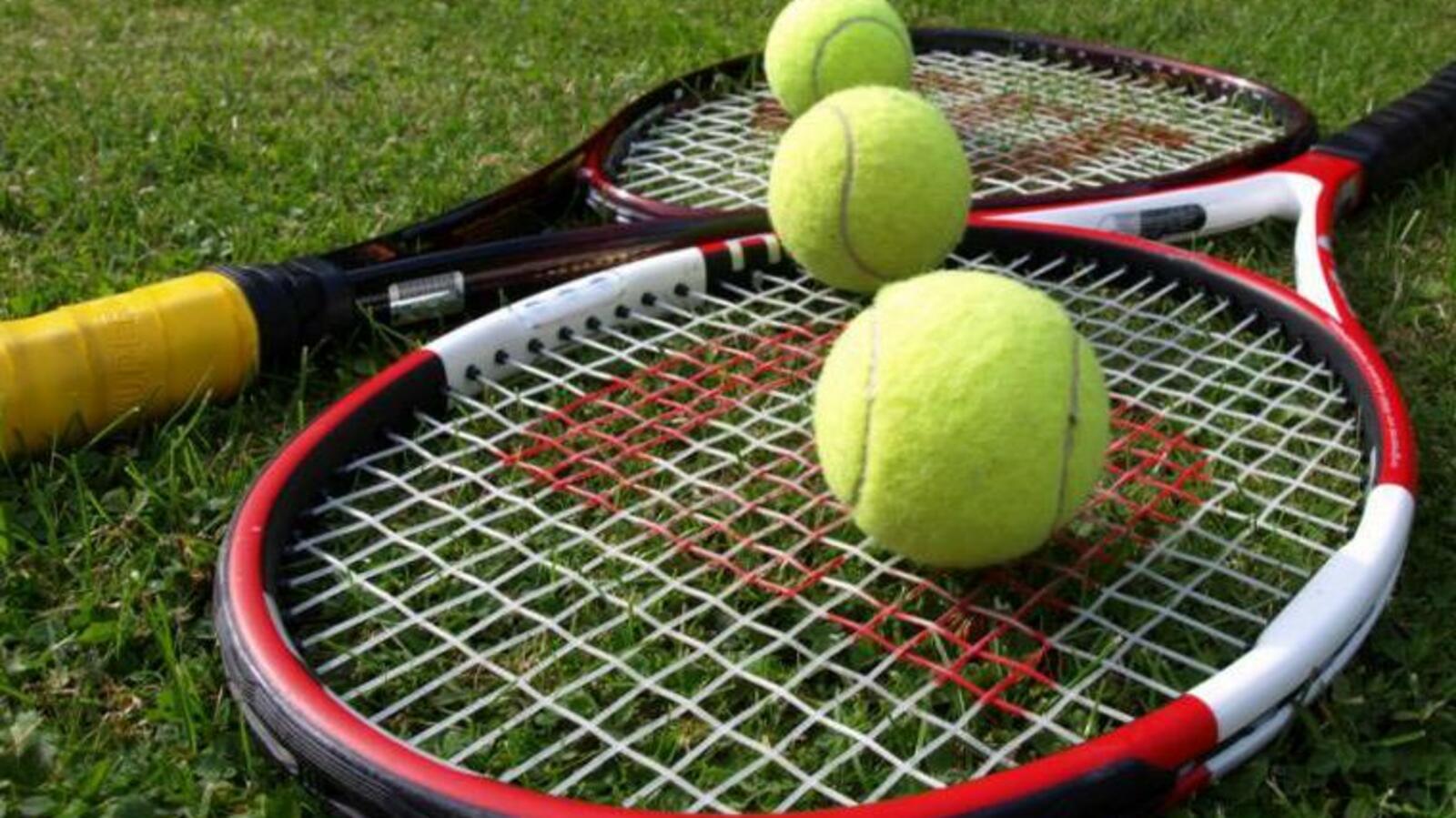 из открытых источников