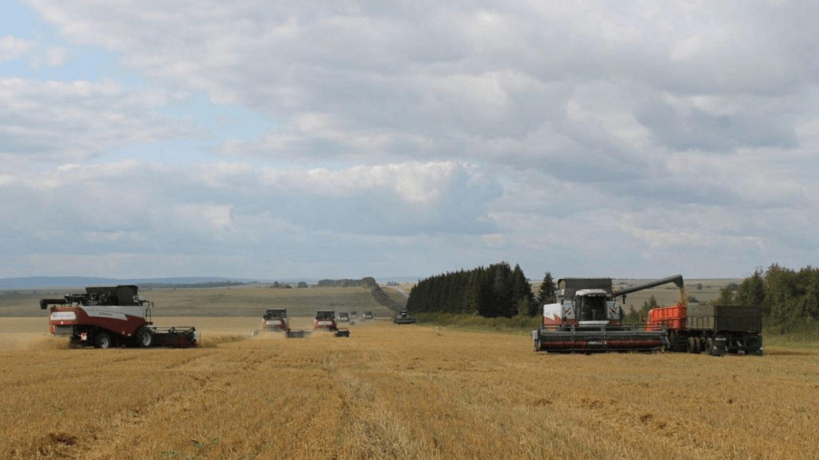 пресс-служба Минсельхоза Башкирии