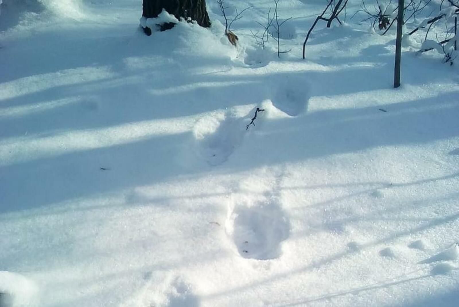 Национальный парк "Башкирия"