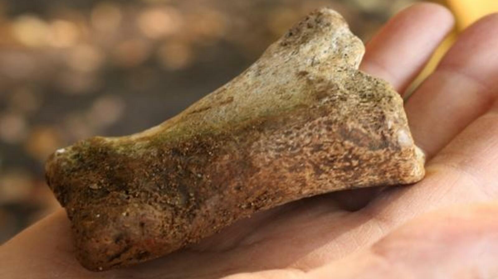 пресс-служба НП «Башкирия»