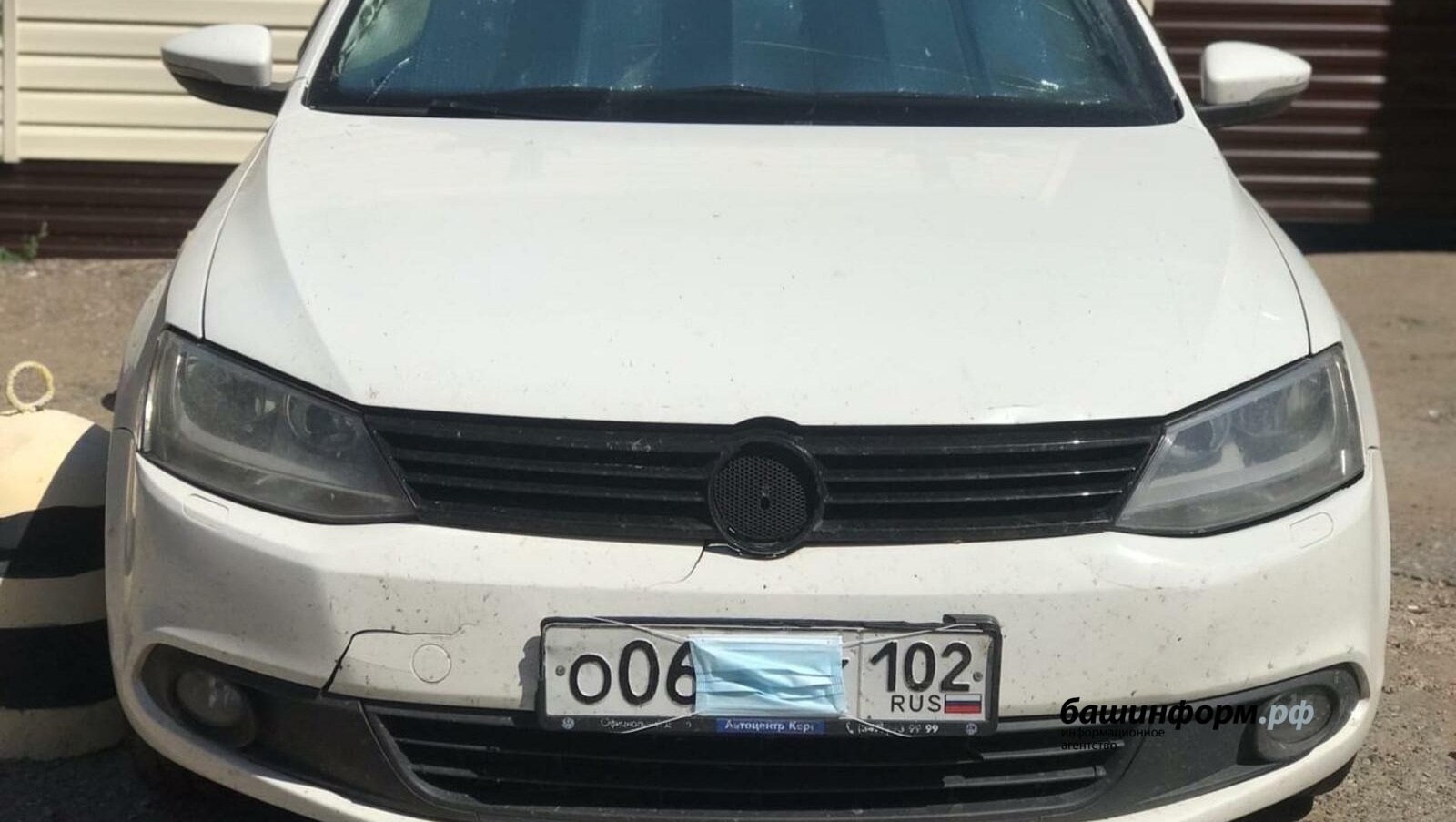 Ксения Калинина, архив