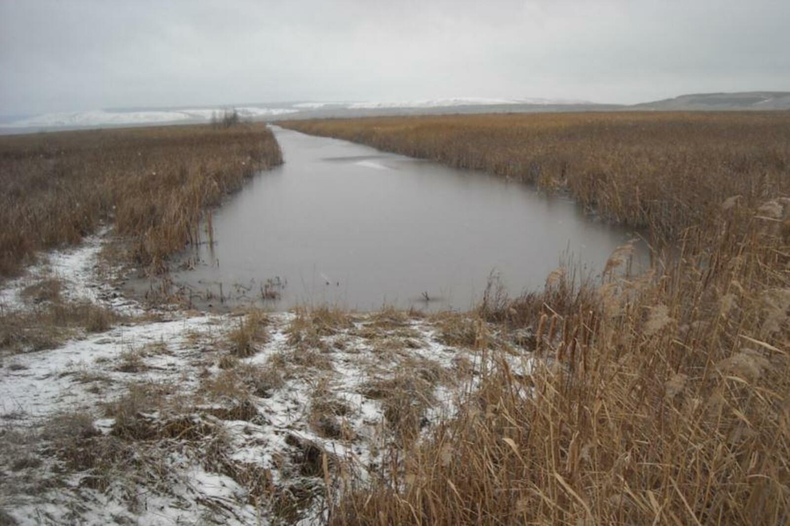 Башкирское отделение РГО