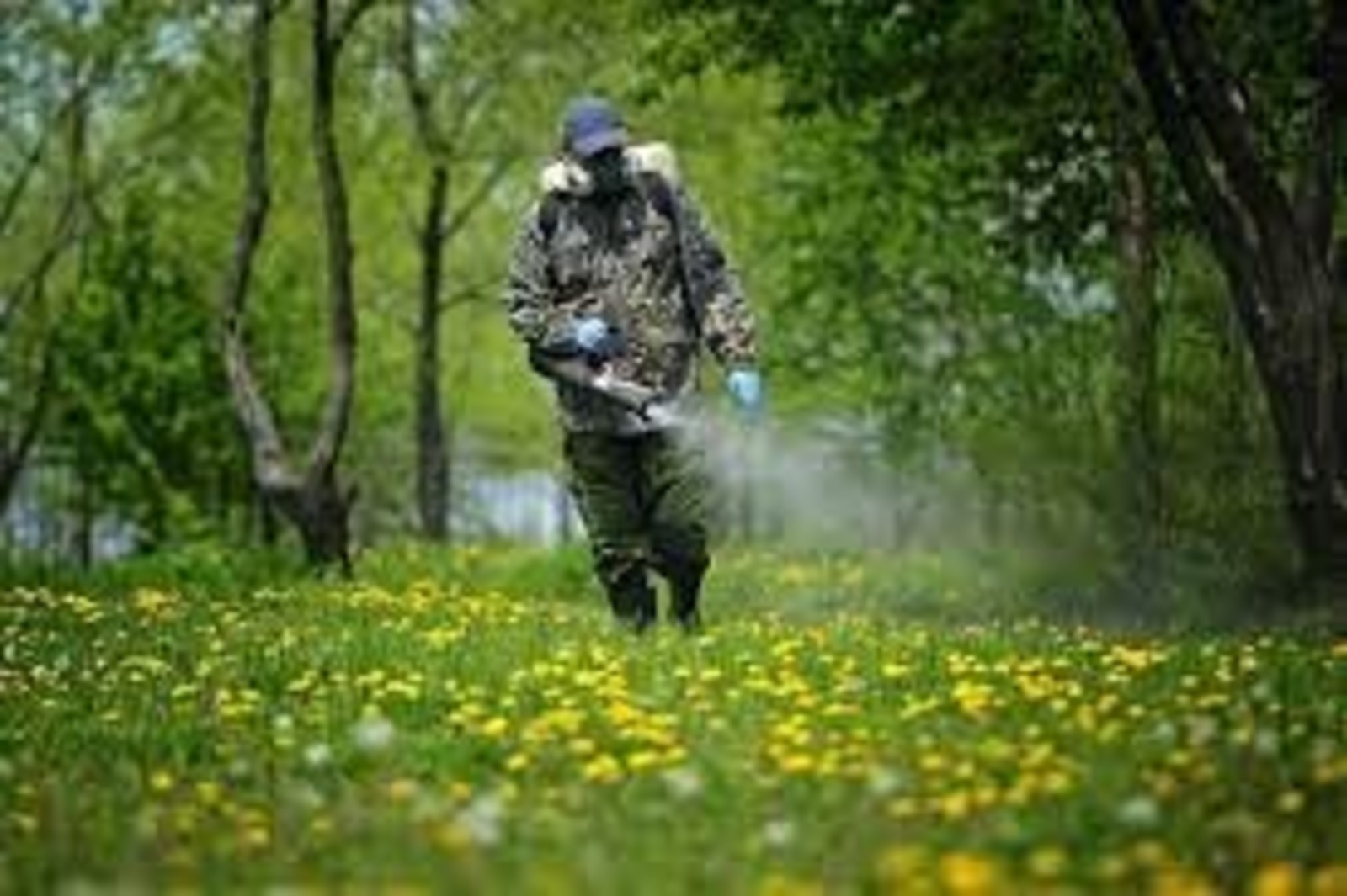 архив ИА «Башинформ»