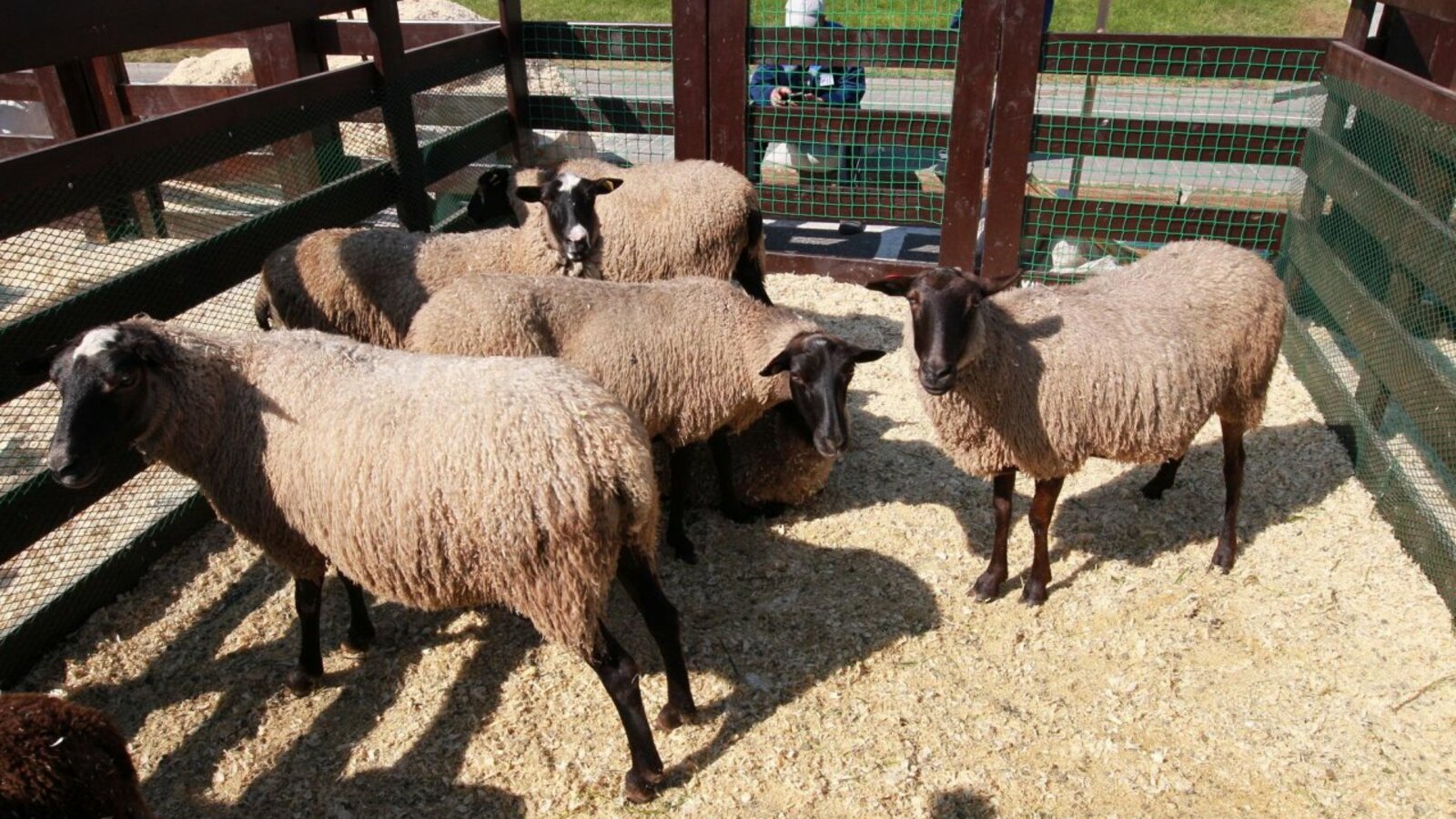 Олег Яровиков