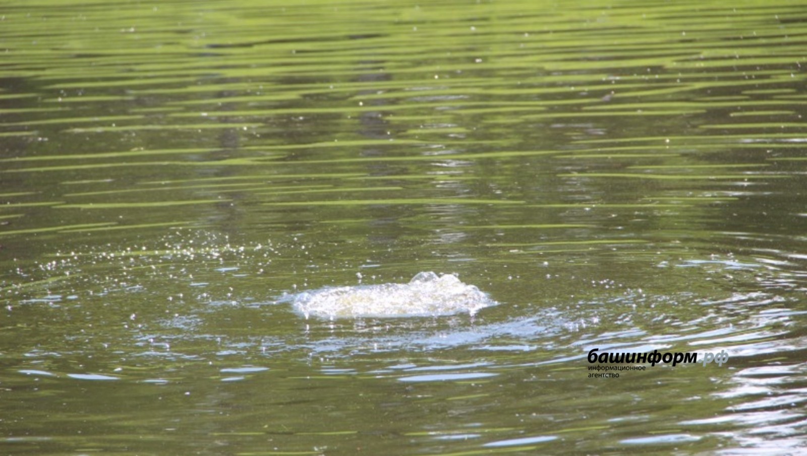 Ксения Калинина