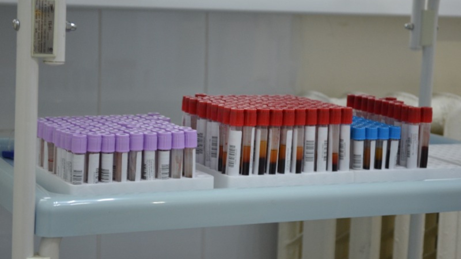 Ксения Калинина