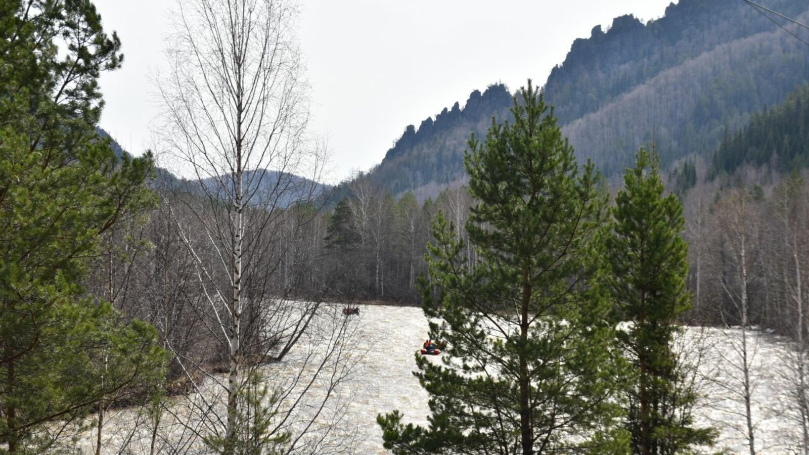 Елена Колоколова