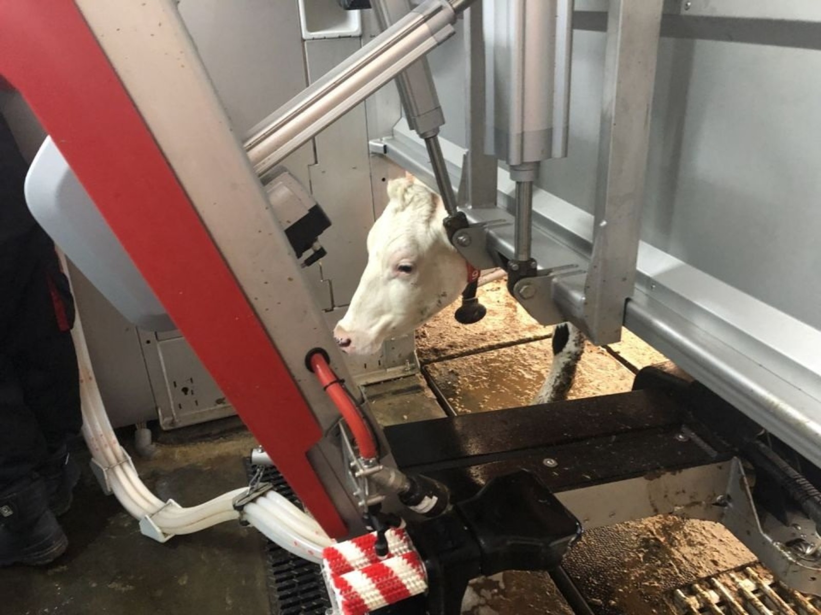 пресс-служба минсельхоз Башкирии