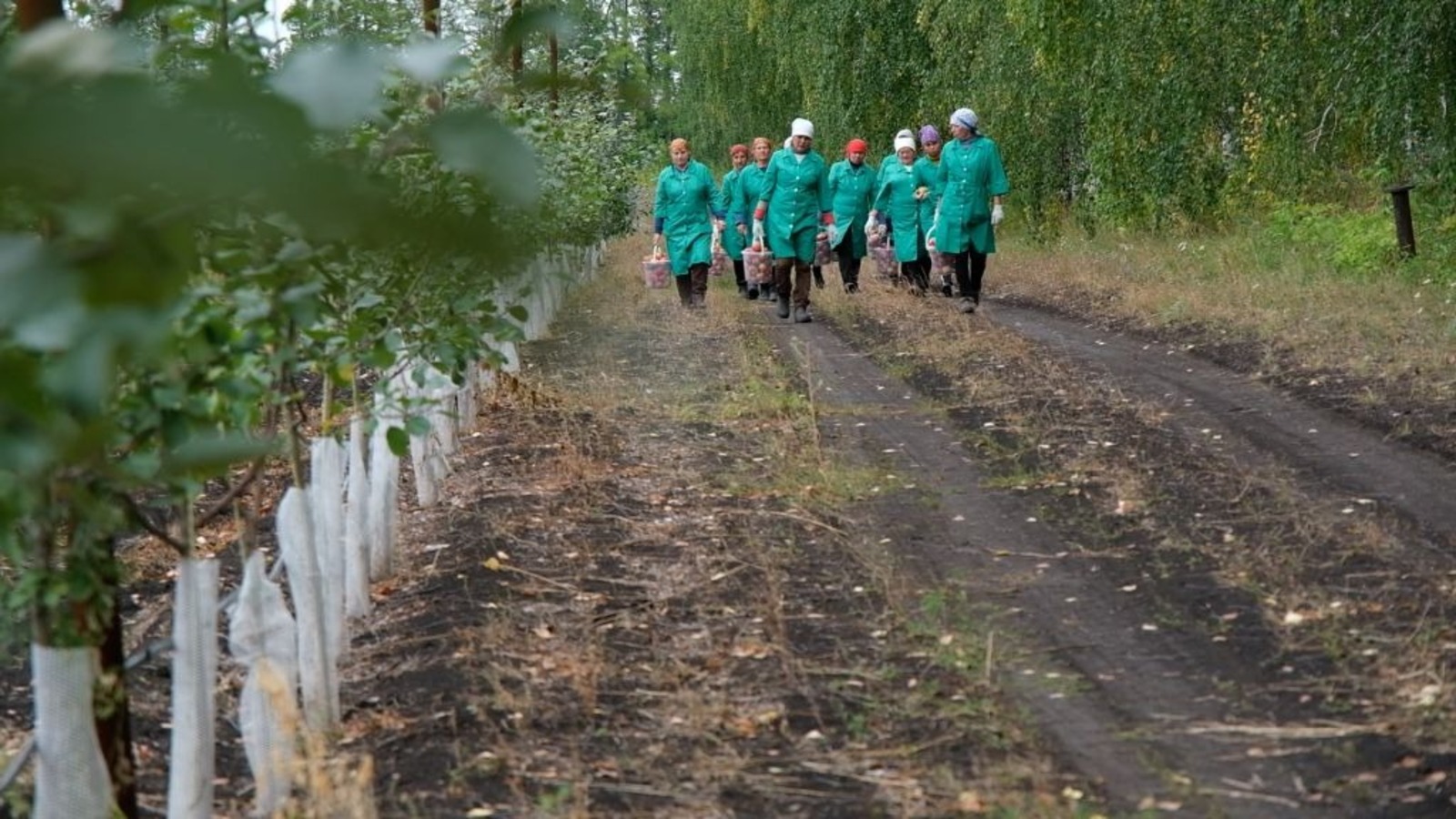 минсельхоз РБ