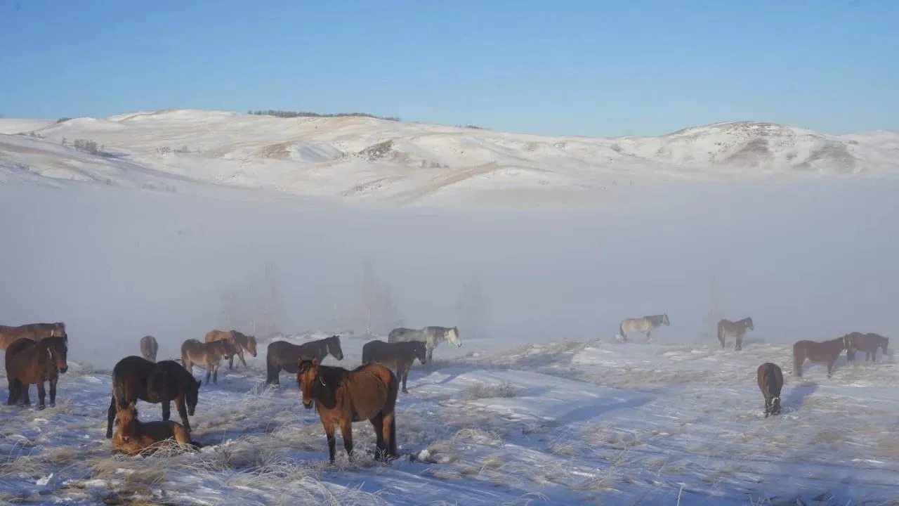 Радий Хабиров Официальный канал Главы Башкирии в MAX