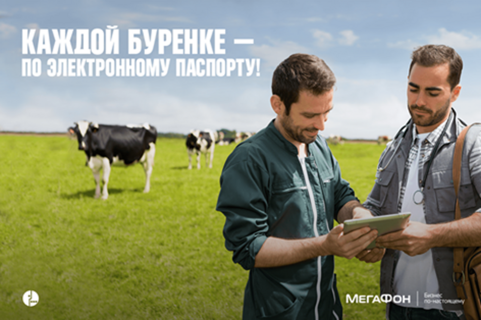 МегаФон