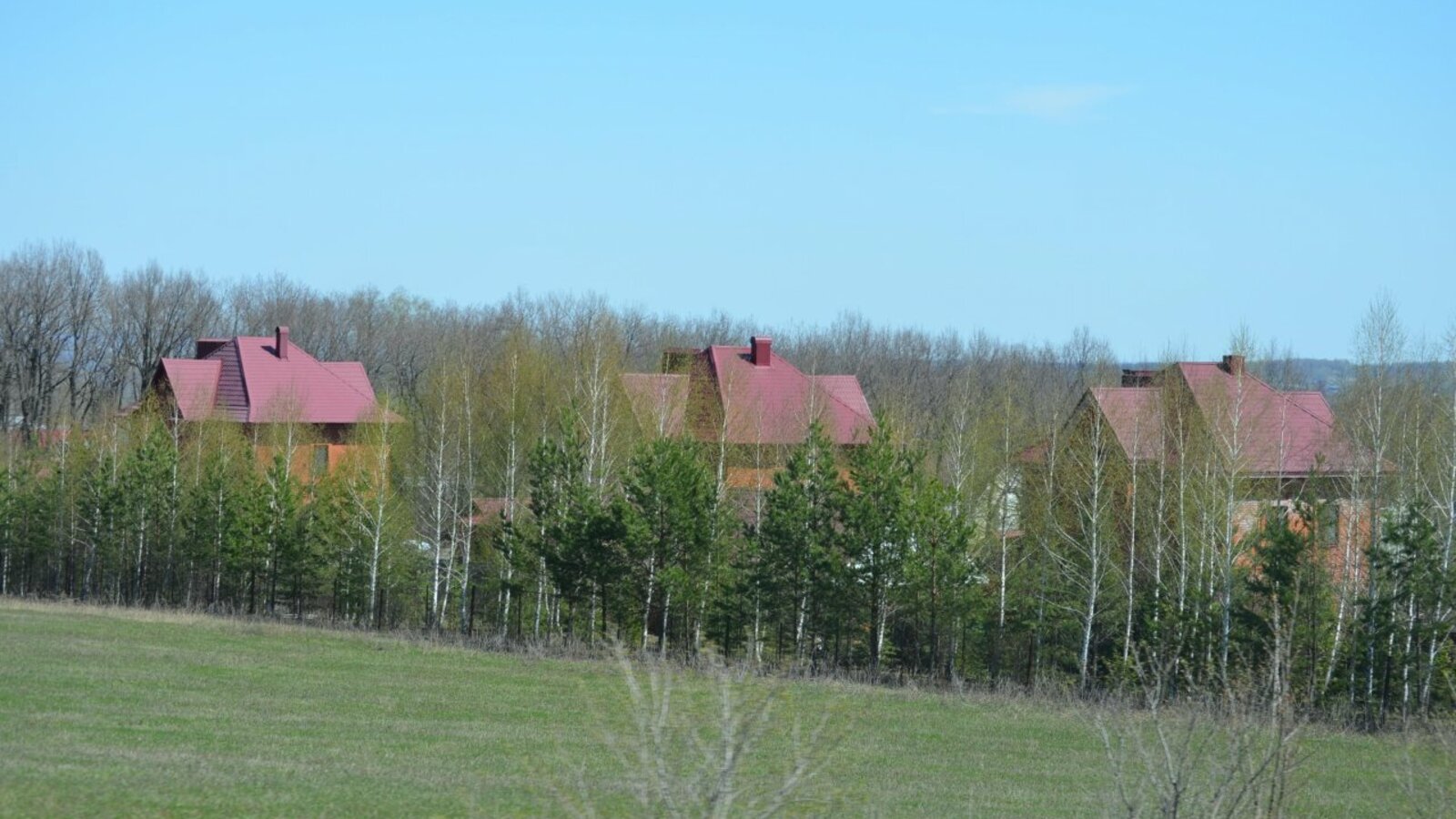 Ксения Калинина