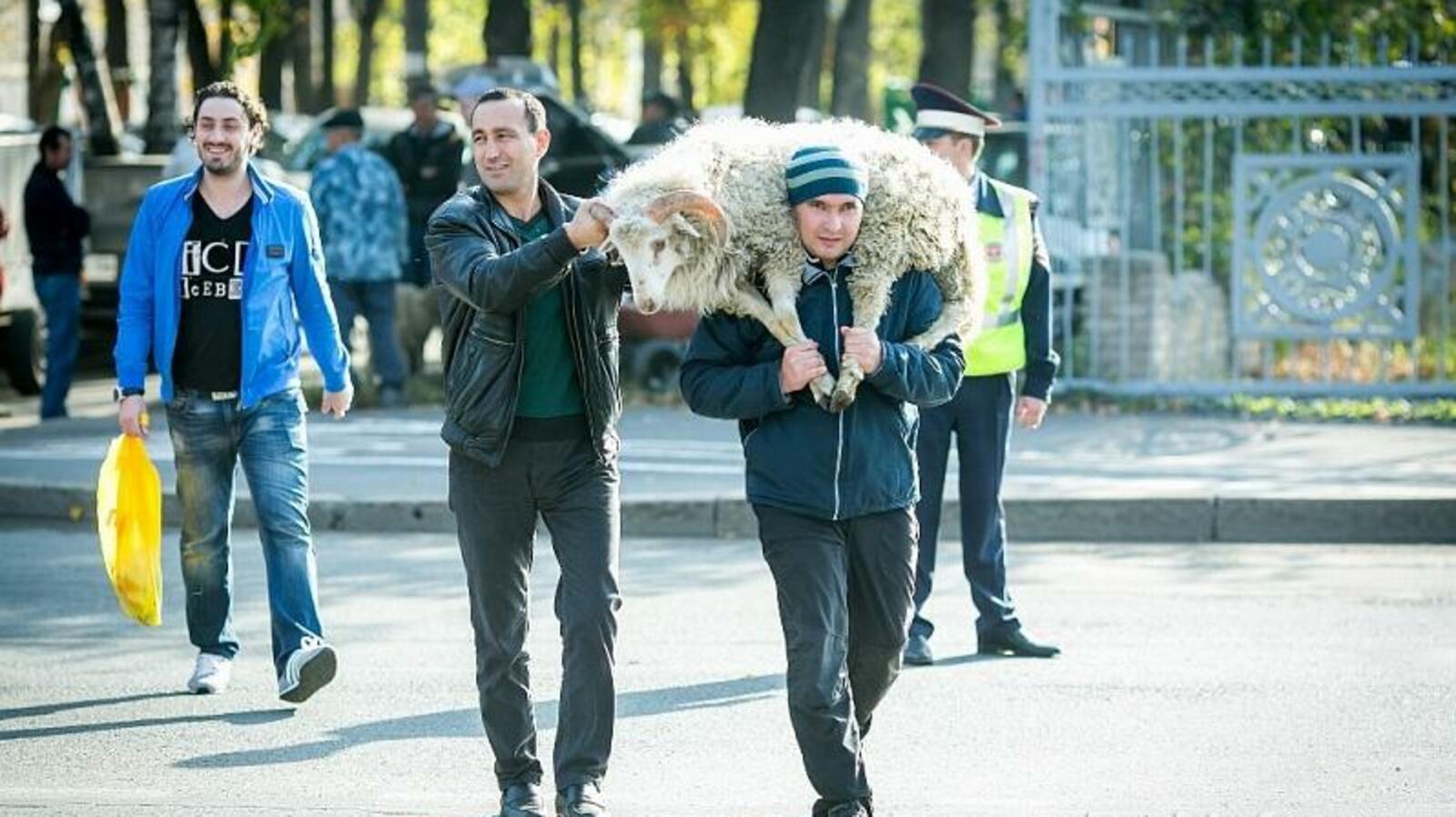 ИА «Башинформ»