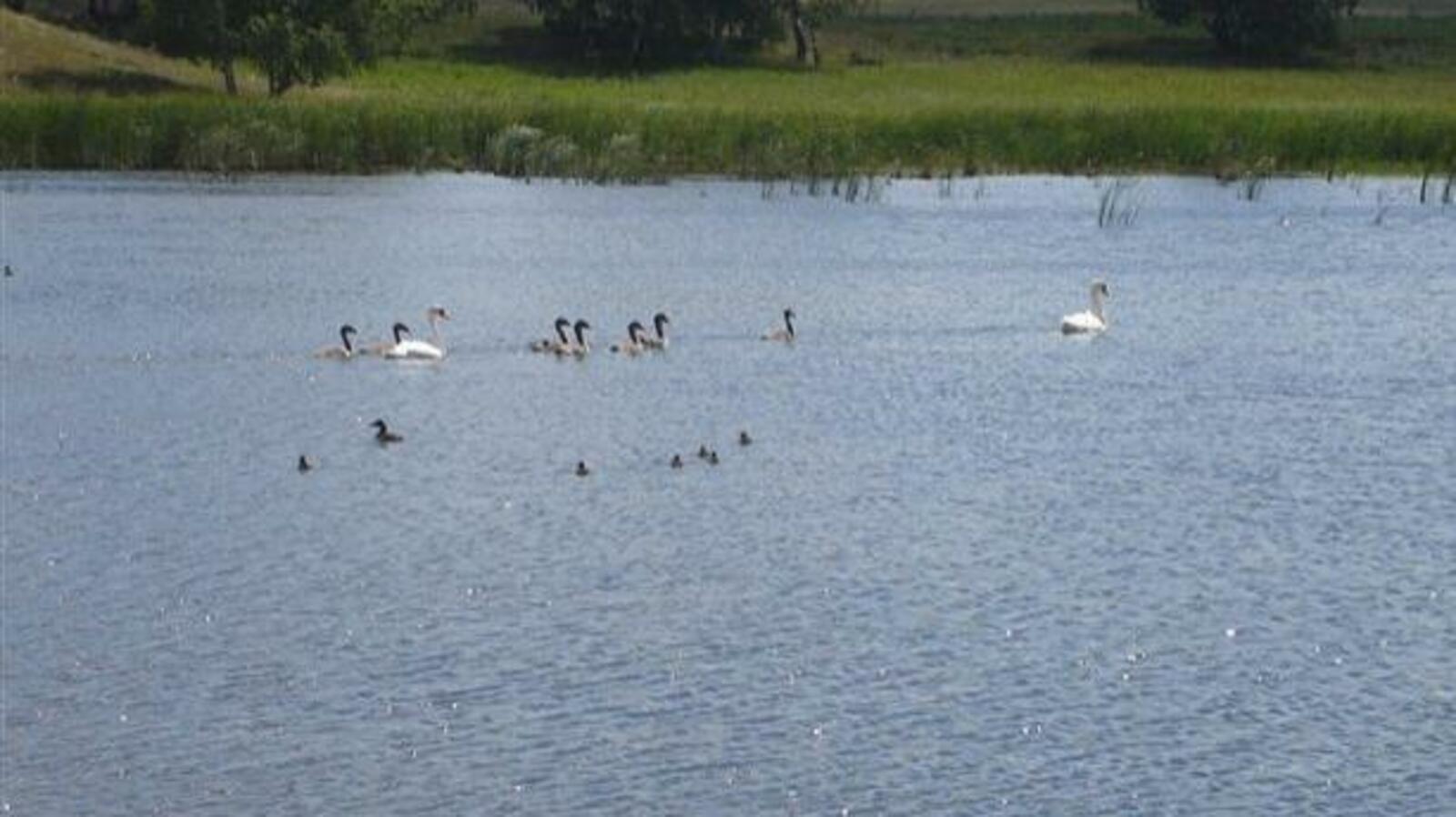 ИА «Башинформ»