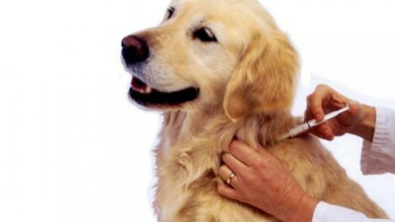 администрация Уфы