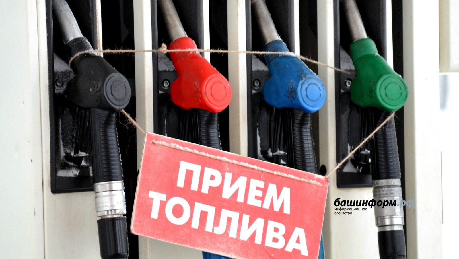 Ксения Калинина   ИА «Башинформ»