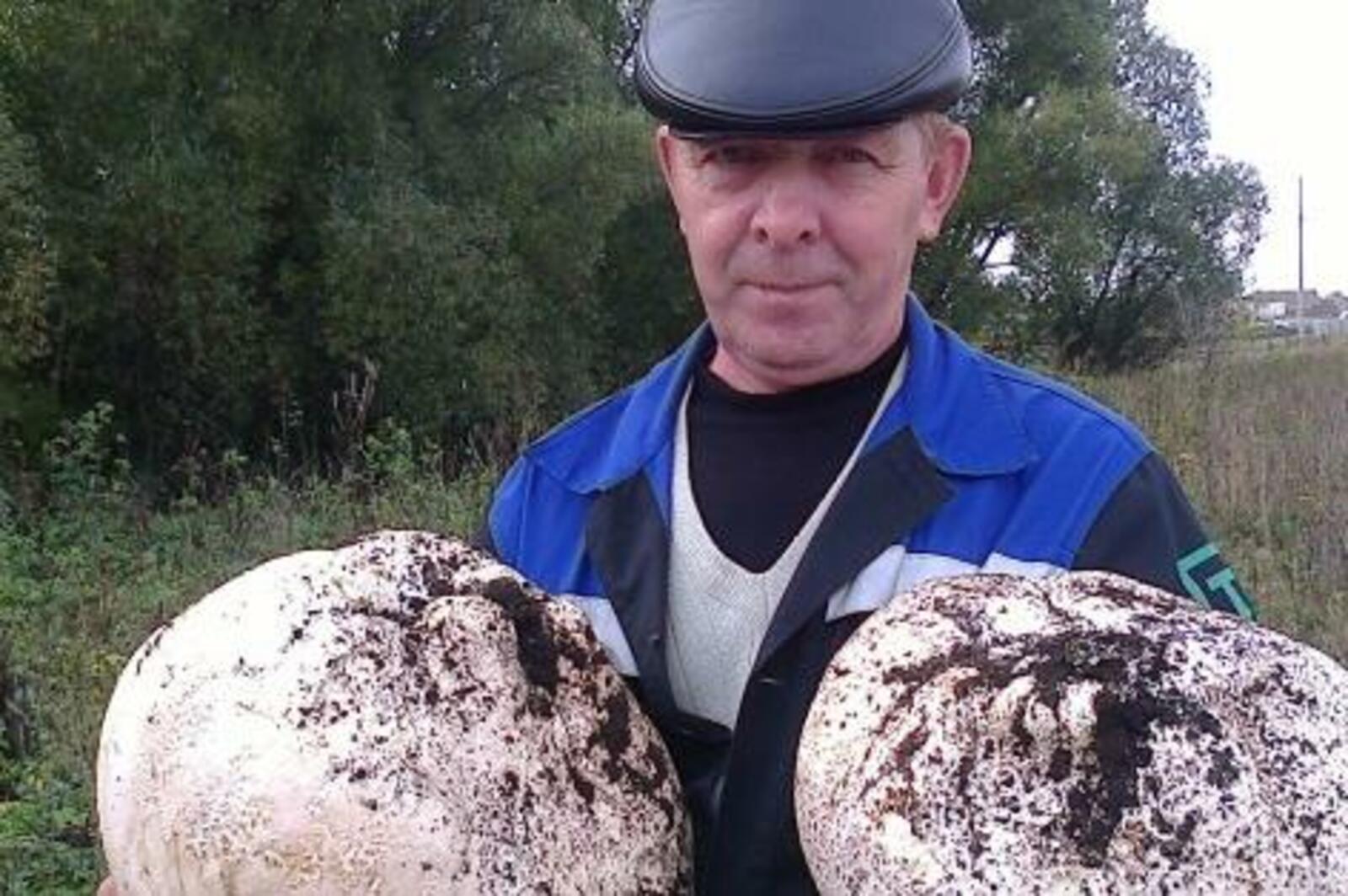 газета «Туймазинский вестник»