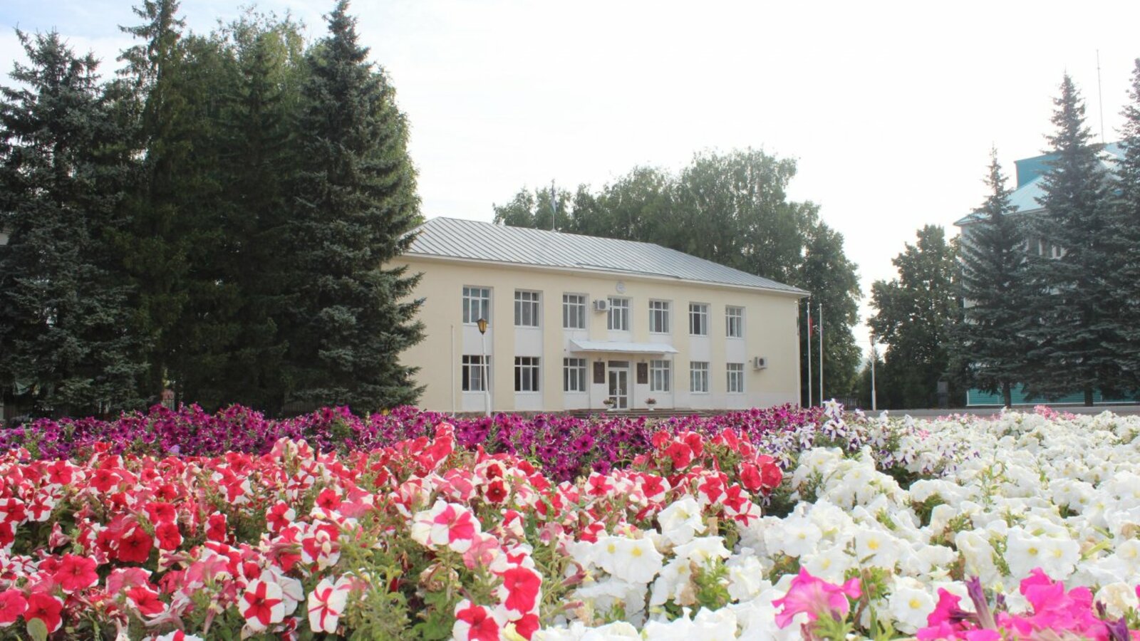 Энже Шафикова