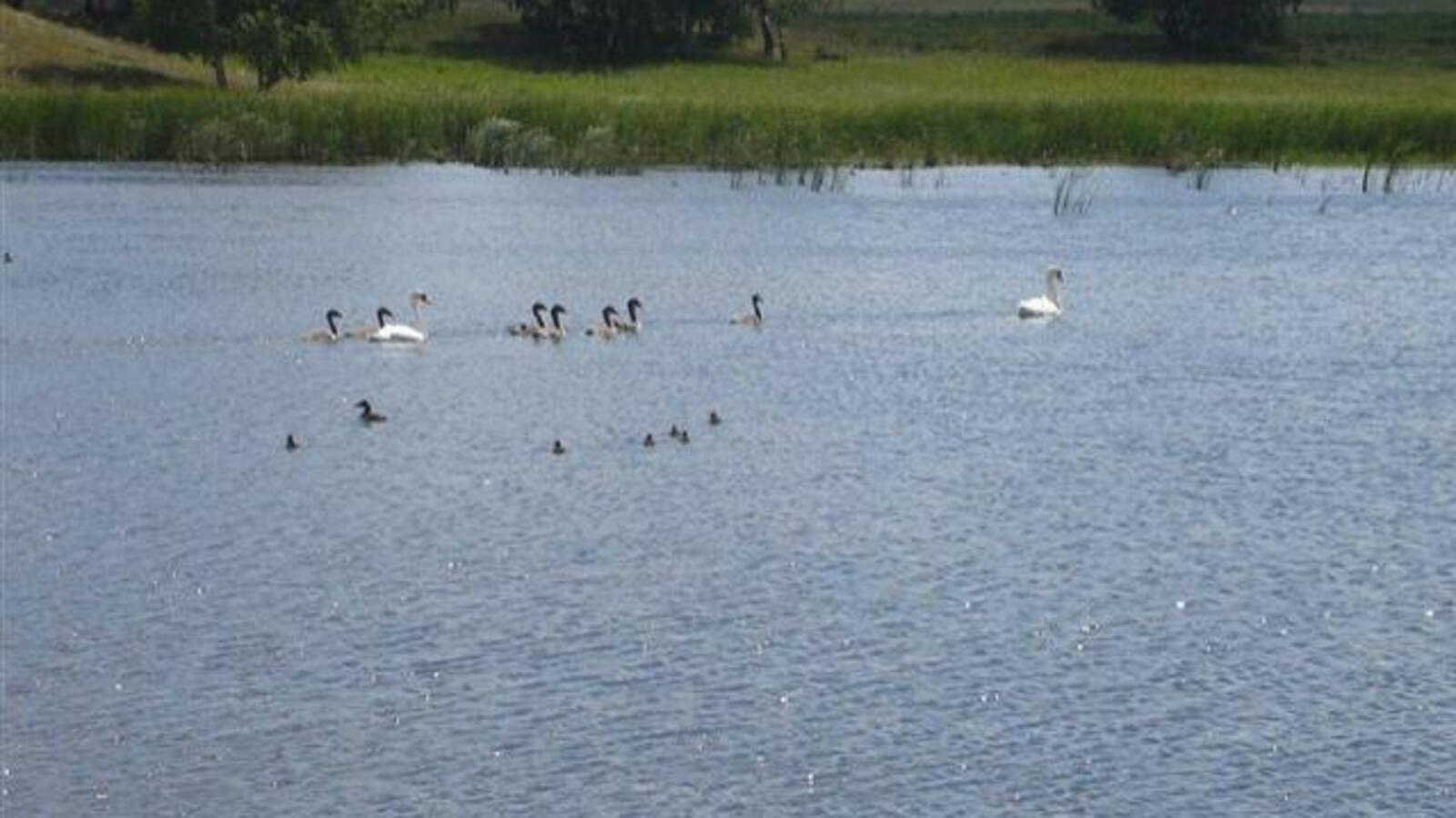 Минэкологии РБ