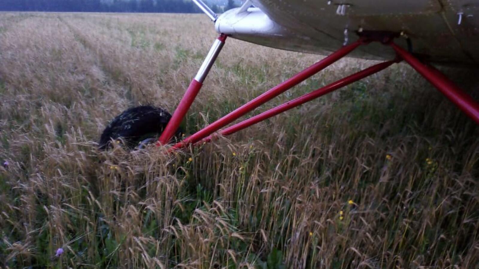 Транспортная прокуратура ПФО