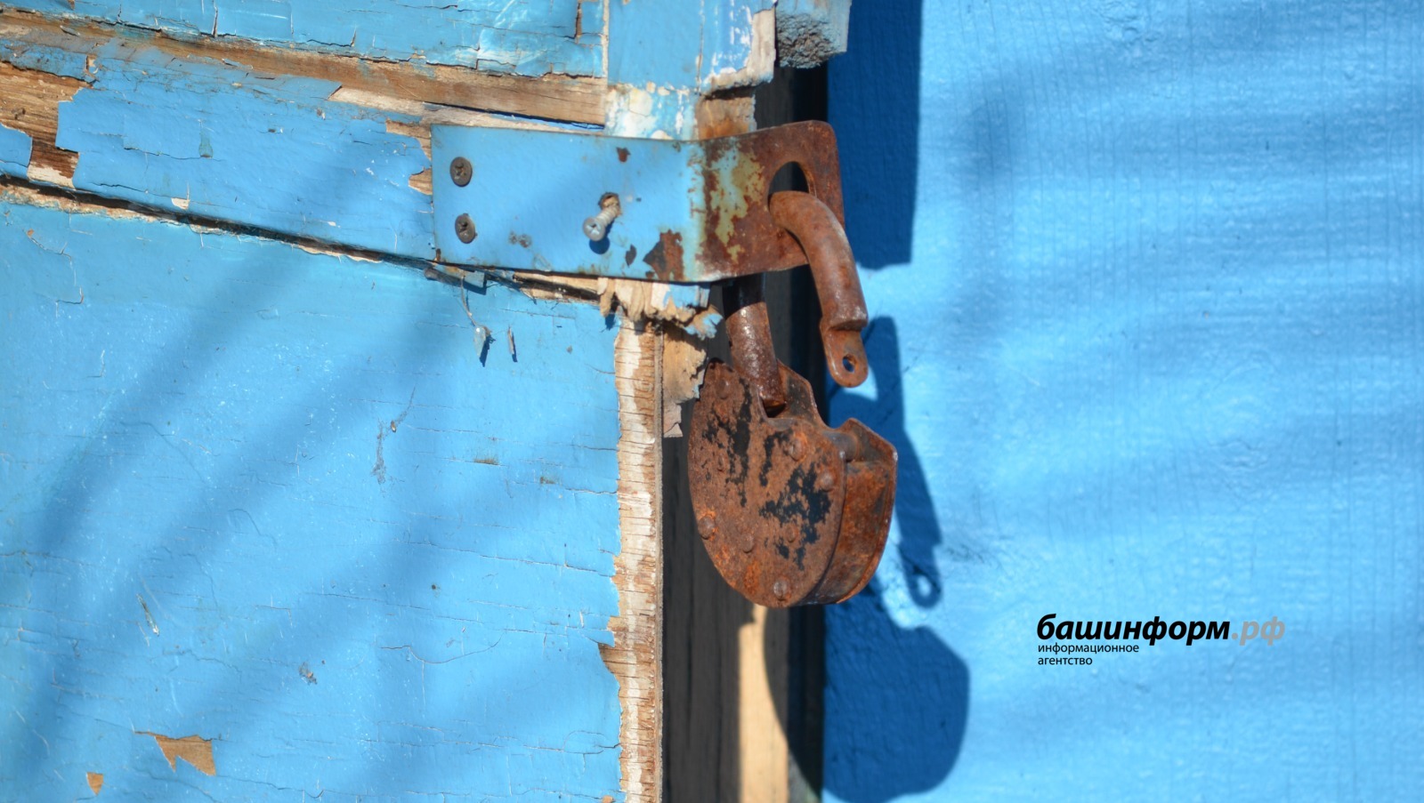 Ксения Калинина   ИА «Башинформ»