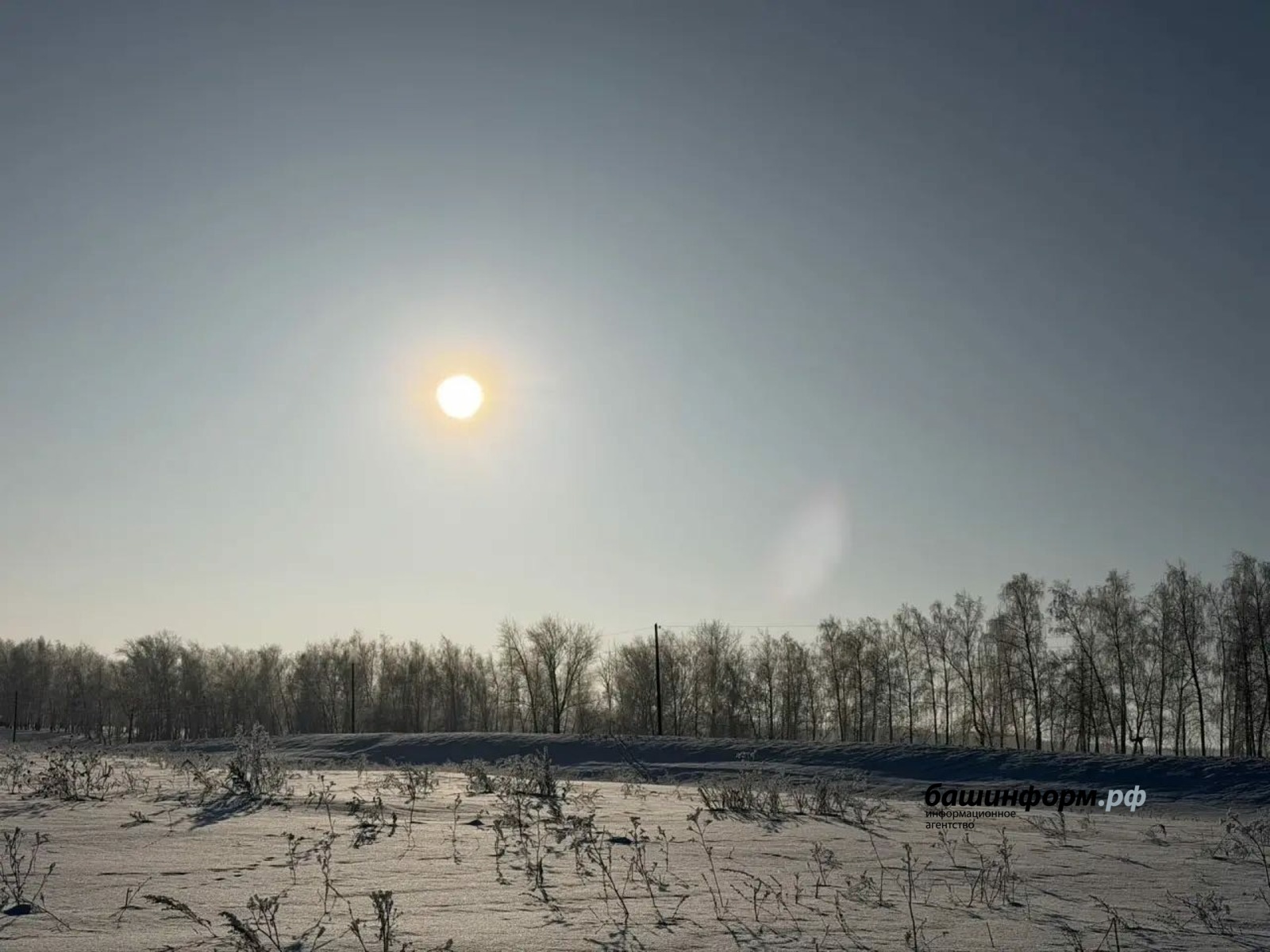 Юлия Бахшиева ИА «Башинформ»