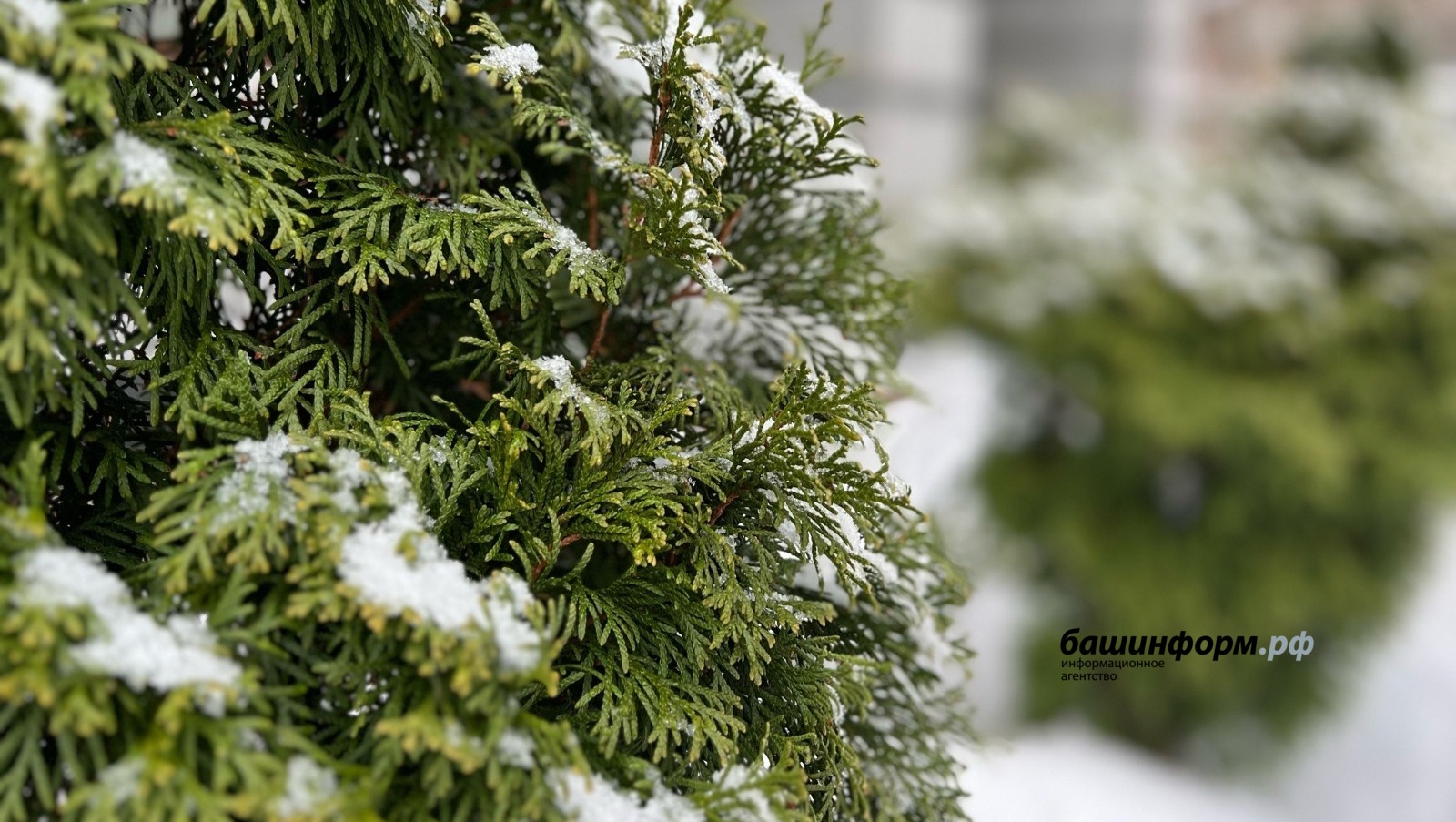 Ксения Калинина ИА «Башинформ»