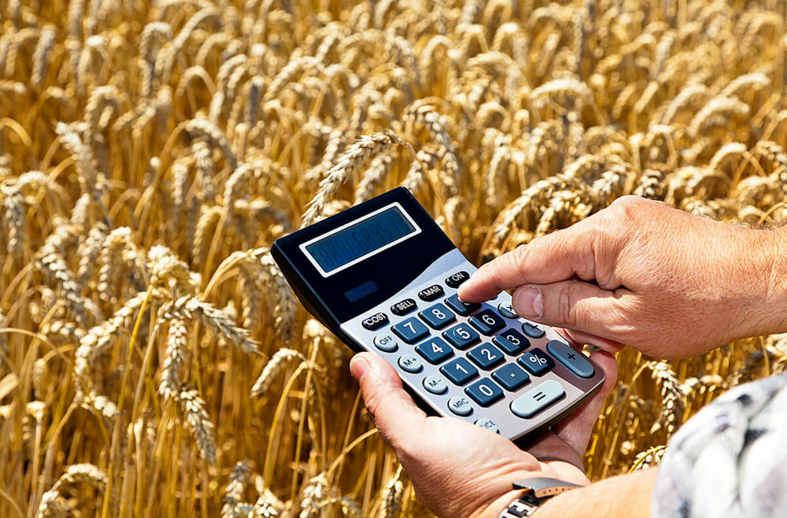 В Башкортостане производителям зерна компенсируют почти 600 млн рублей затрат