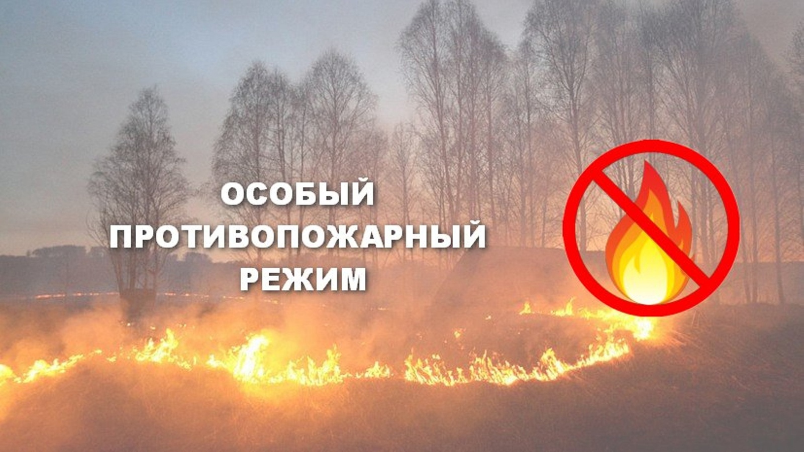 С 1 мая в Башкирии вводится особый противопожарный режим