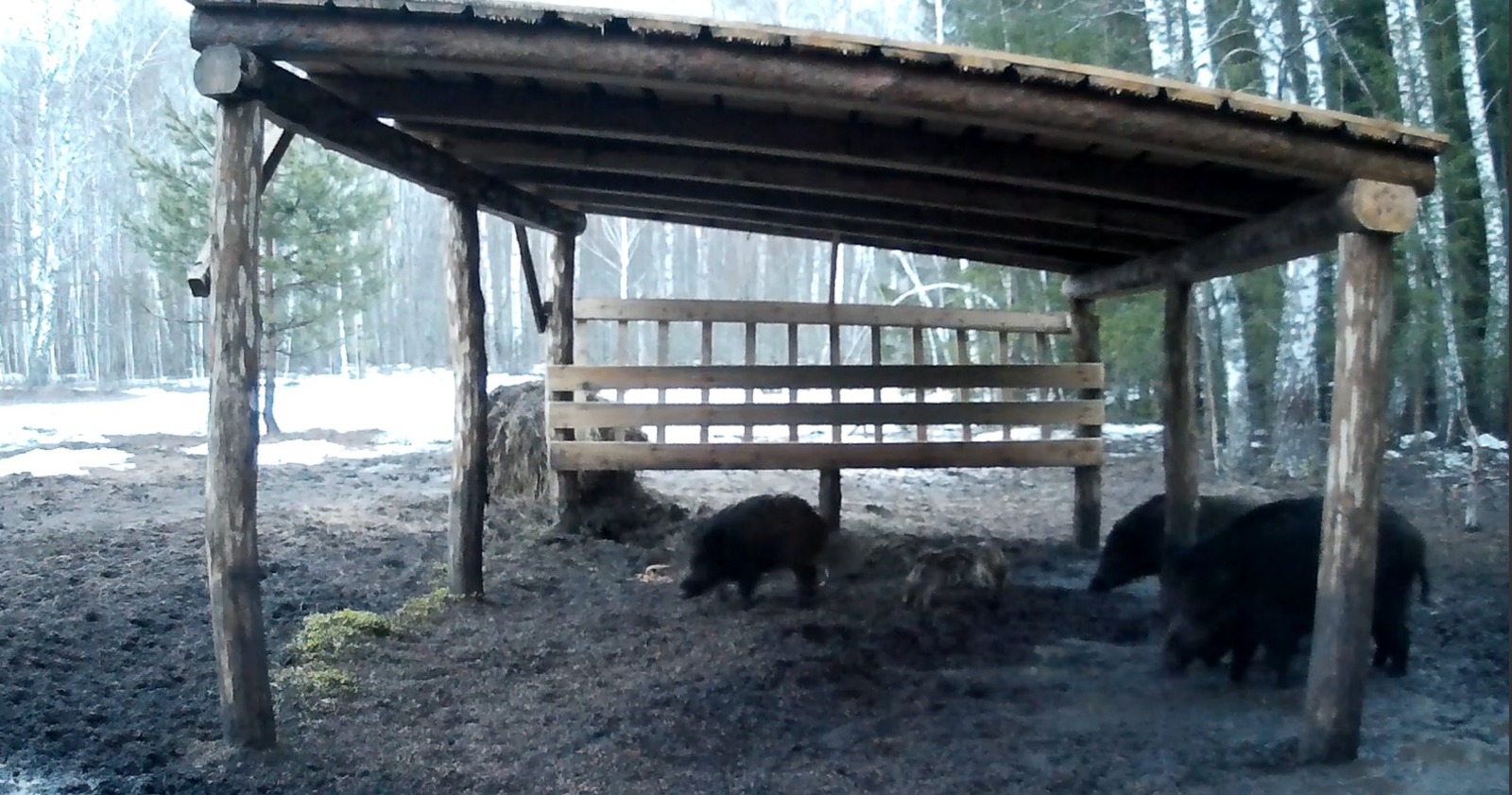 скриншот видео